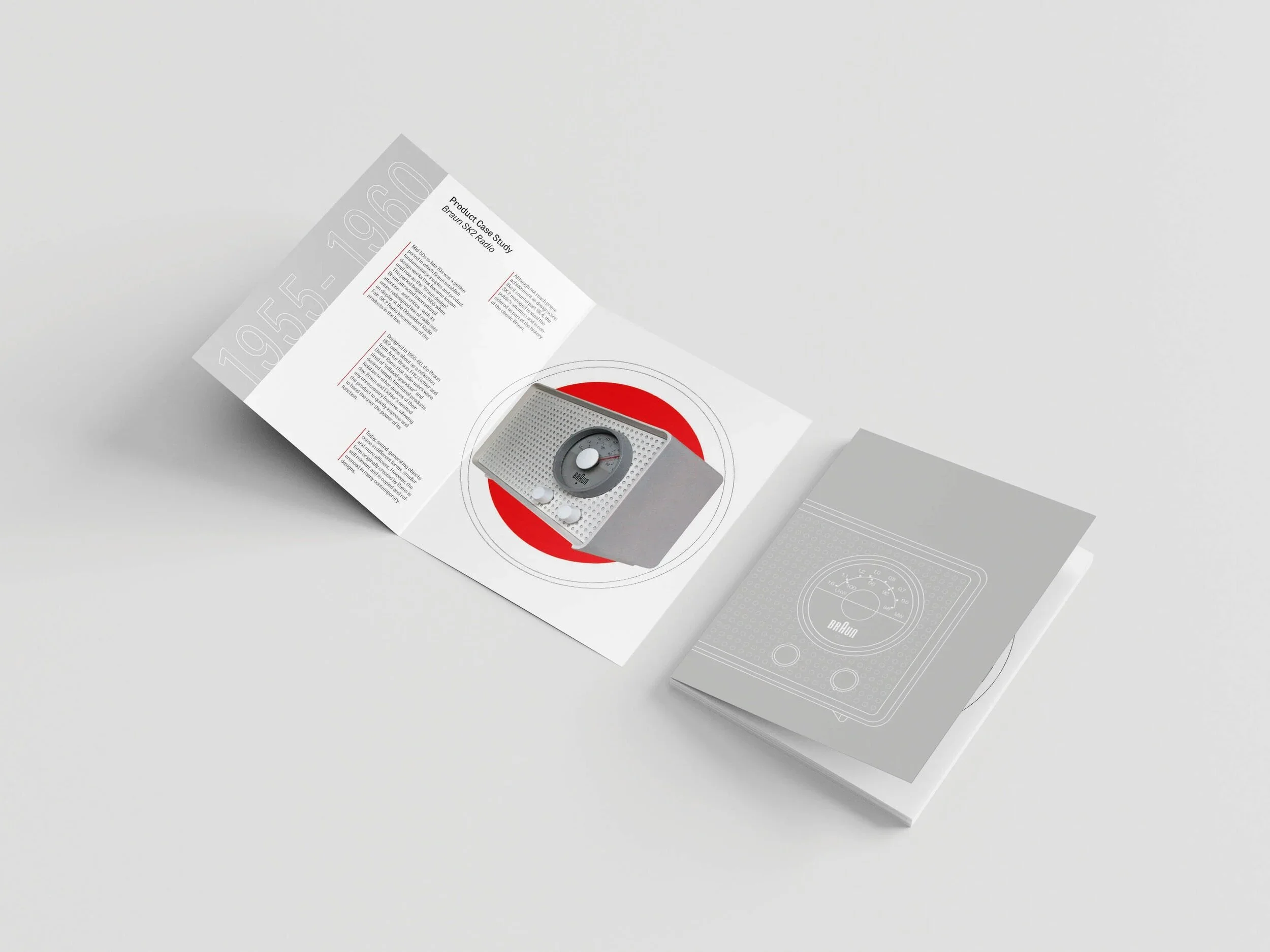 Braun+brochure.webp
