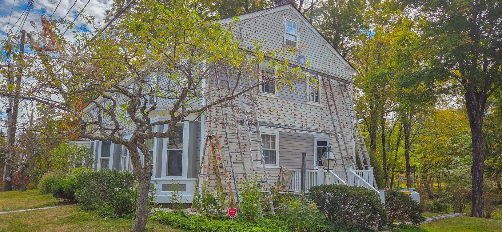 House undergoing construction or renovation with ladders leaning against the exterior, surrounded by trees and greenery.