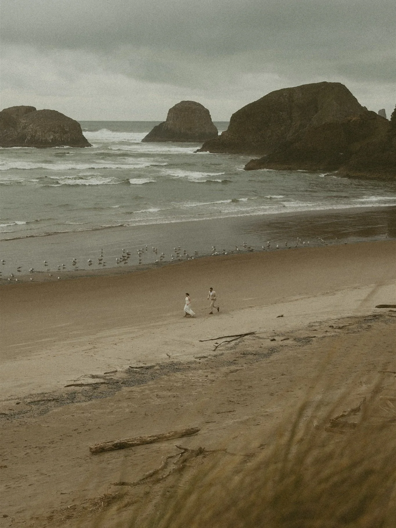 Rainy Oregon Coast Elopements >>>
Give me allll the twilight vibes🌲🤧

#twilightelopement #hoahoahoa #moodyoregoncoastelopement #moodyelopement #elopementphotography #oregonphotographer #dreamyelopement #elopementdressinspo #rainyelopement 
