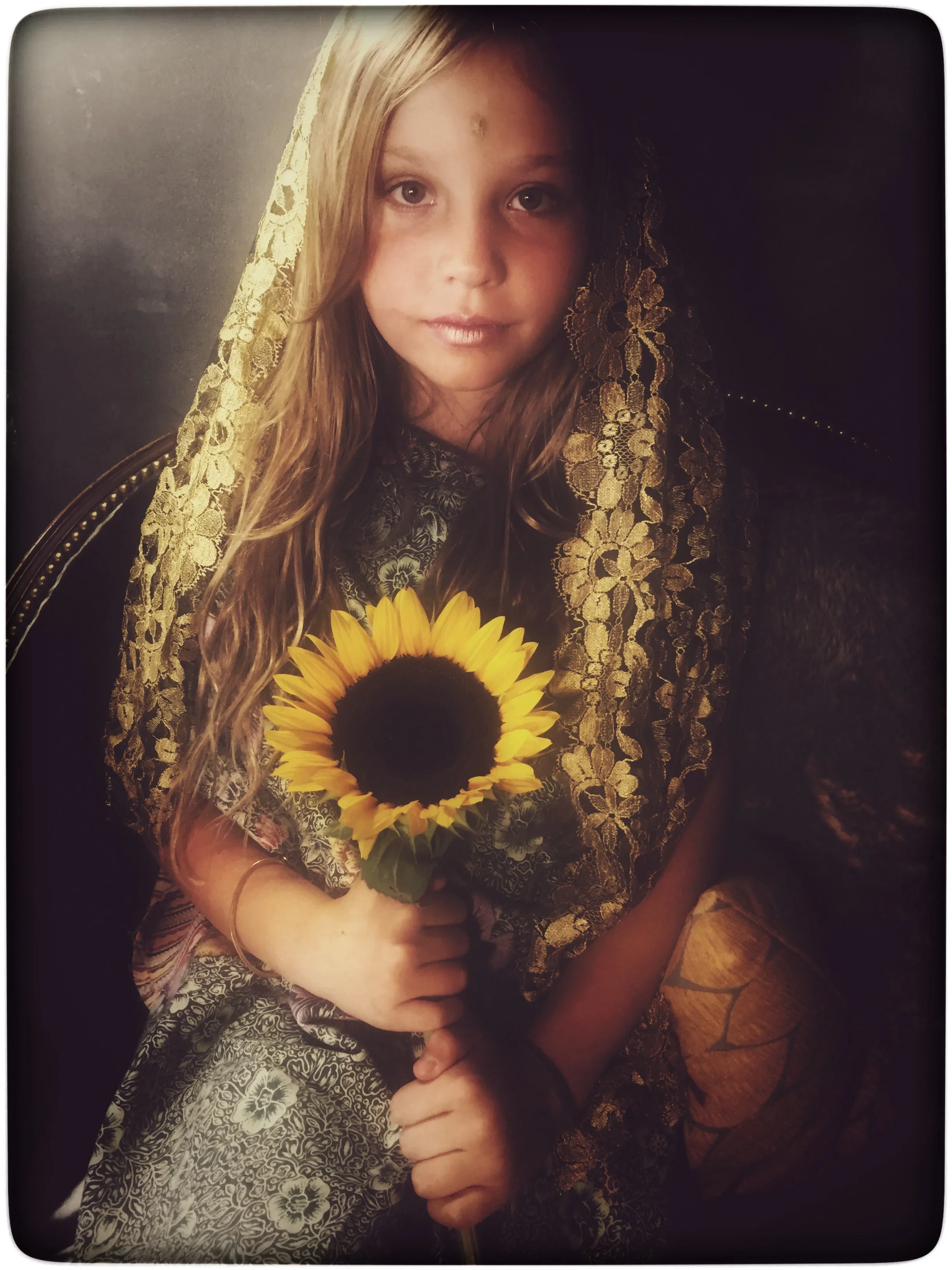 Arizona - Sunflower.jpg.webp