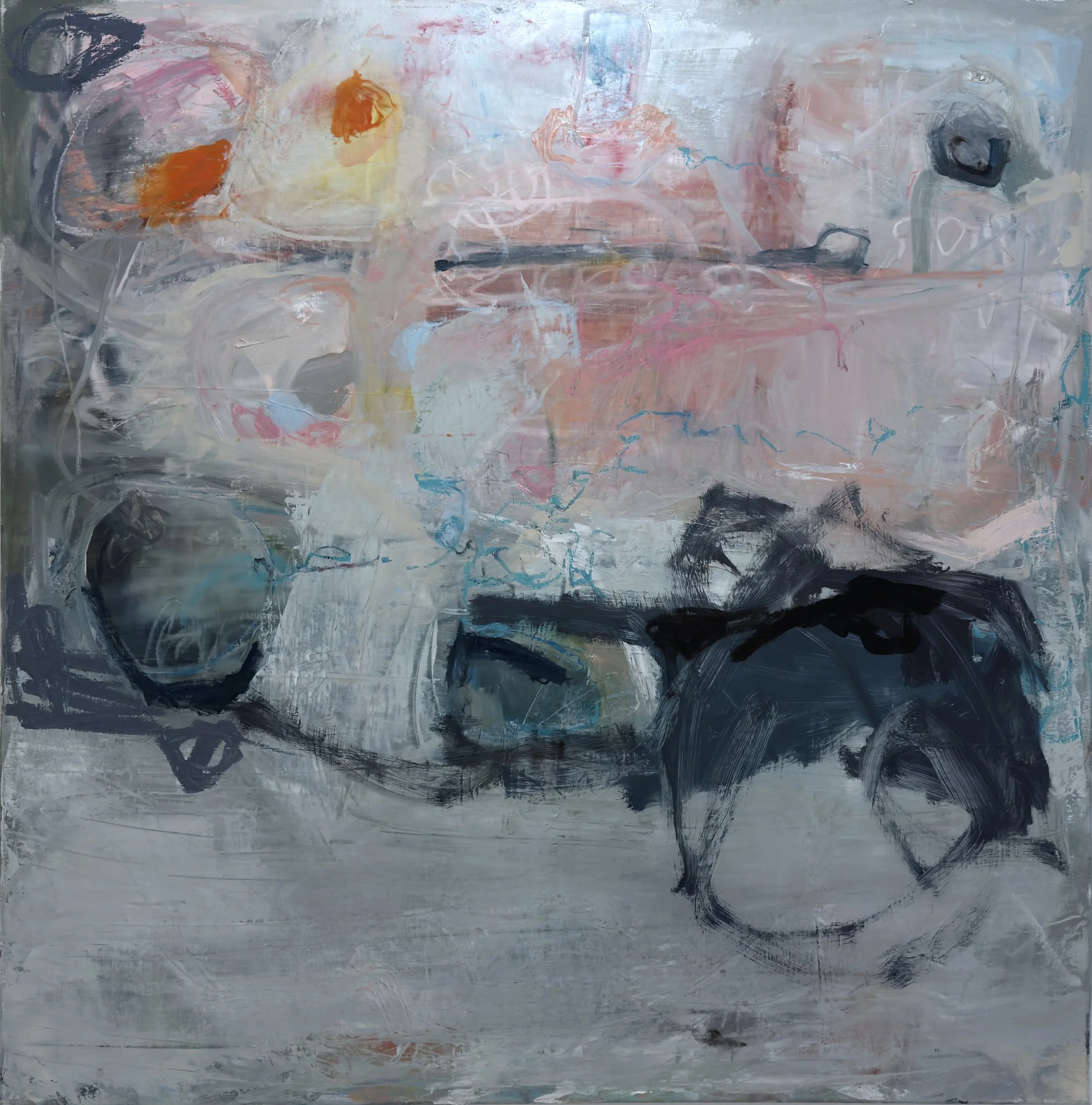 ZUMA : oil on canvas (AA x BB)