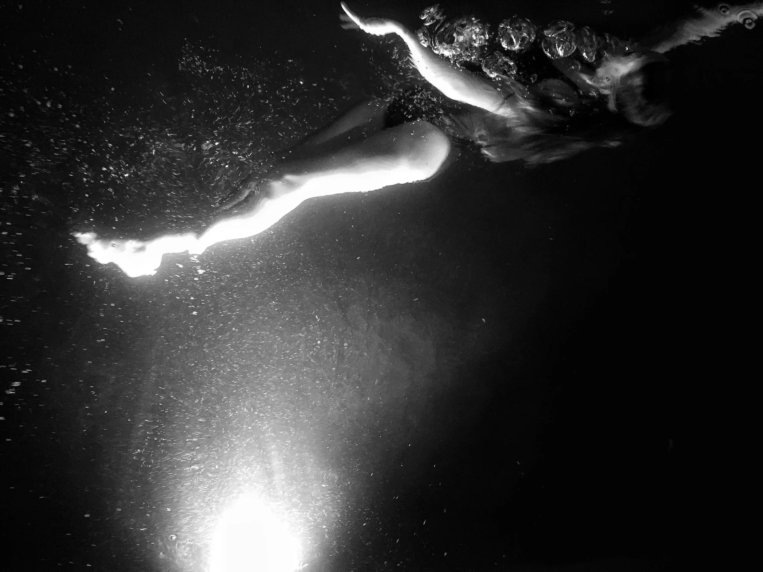 The Upside Down.jpg.webp