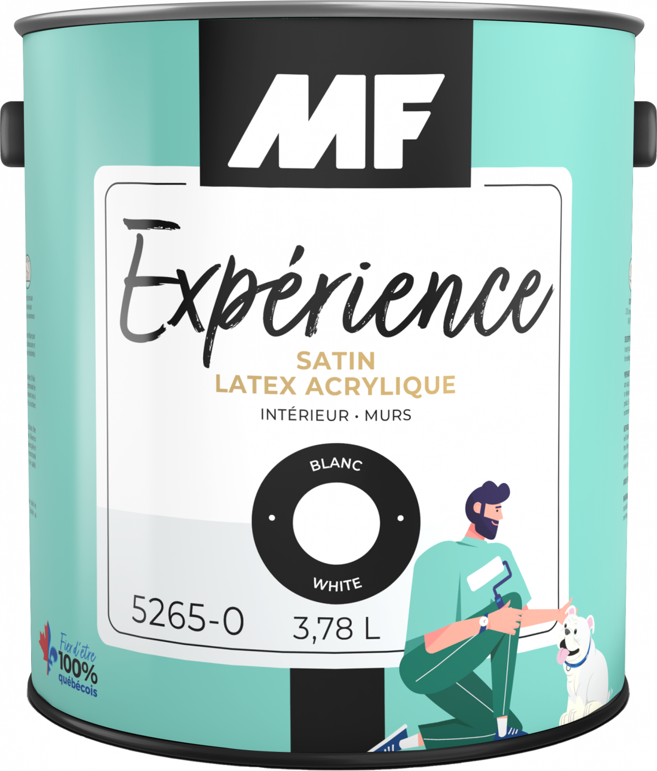 Expérience Satin 5265 - Peinture MF