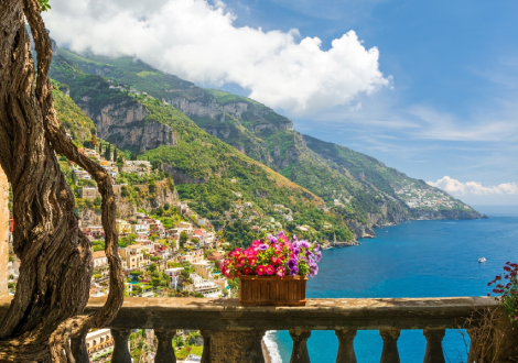 A twisted looking tree and a pot of flowers on a stone rail, overlook the city and mountain that run along the waters edge.
