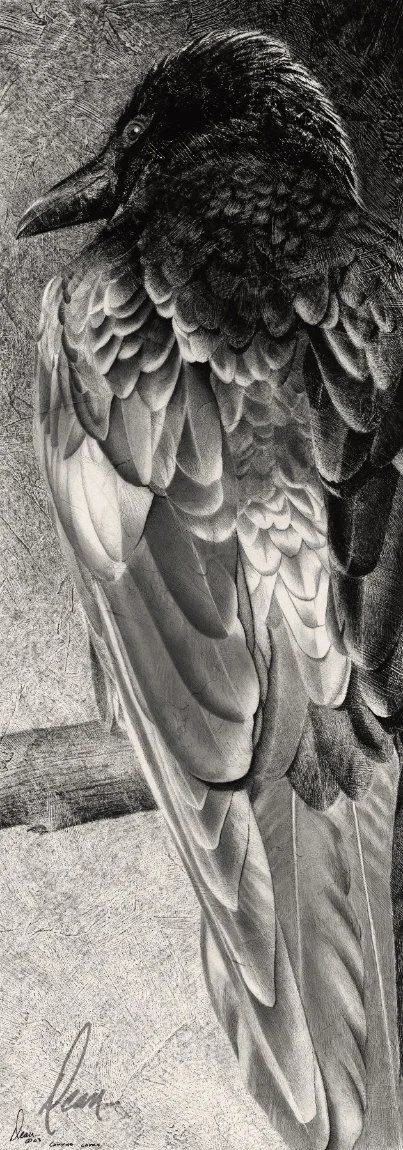 Yin-Yang - Raven drawing