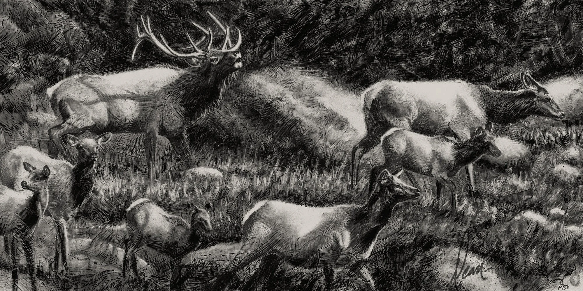 Elk herd drawing