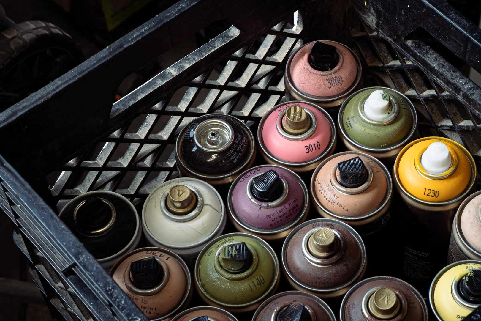 RLF April (14 of 33).jpg