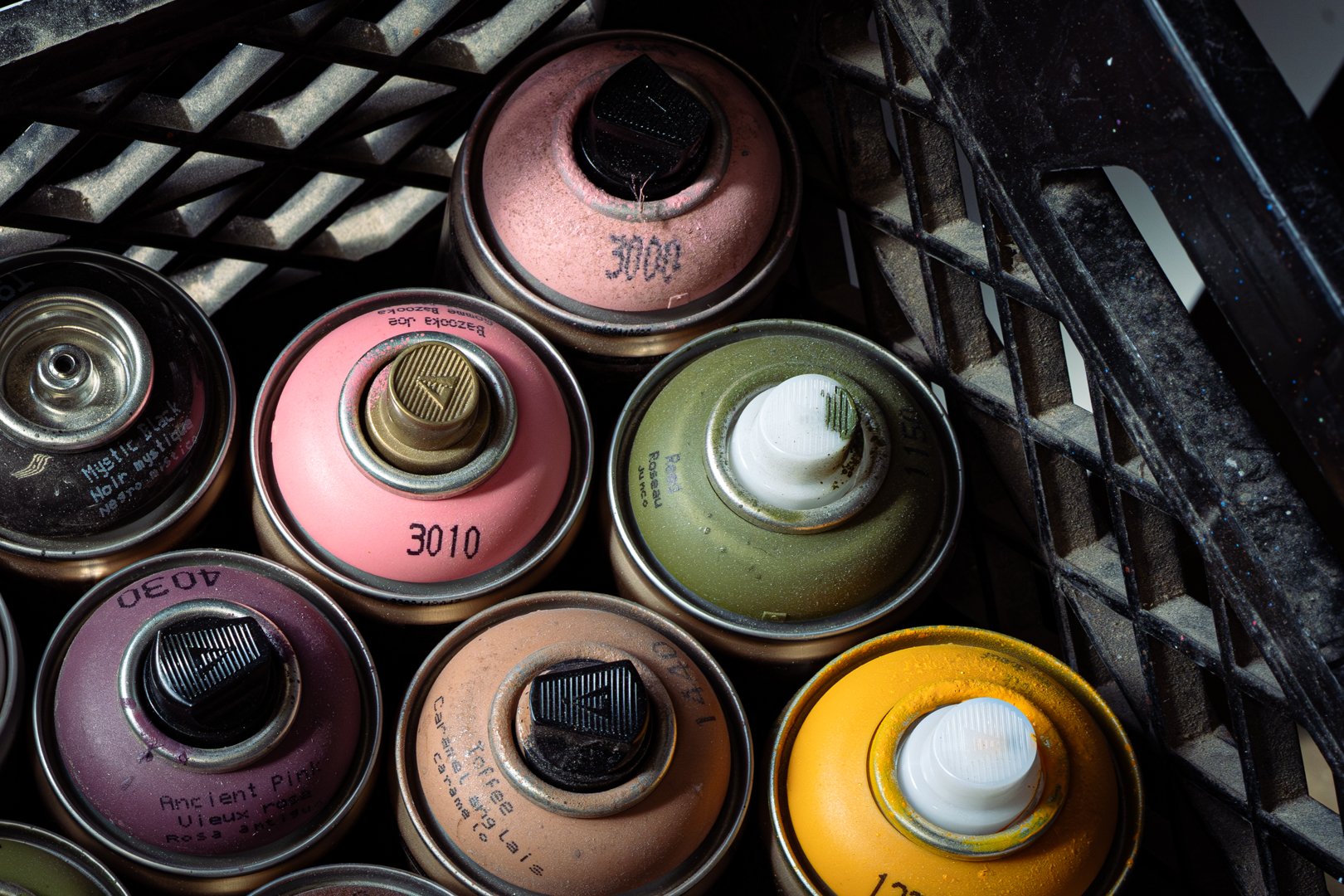 RLF April (15 of 33).jpg