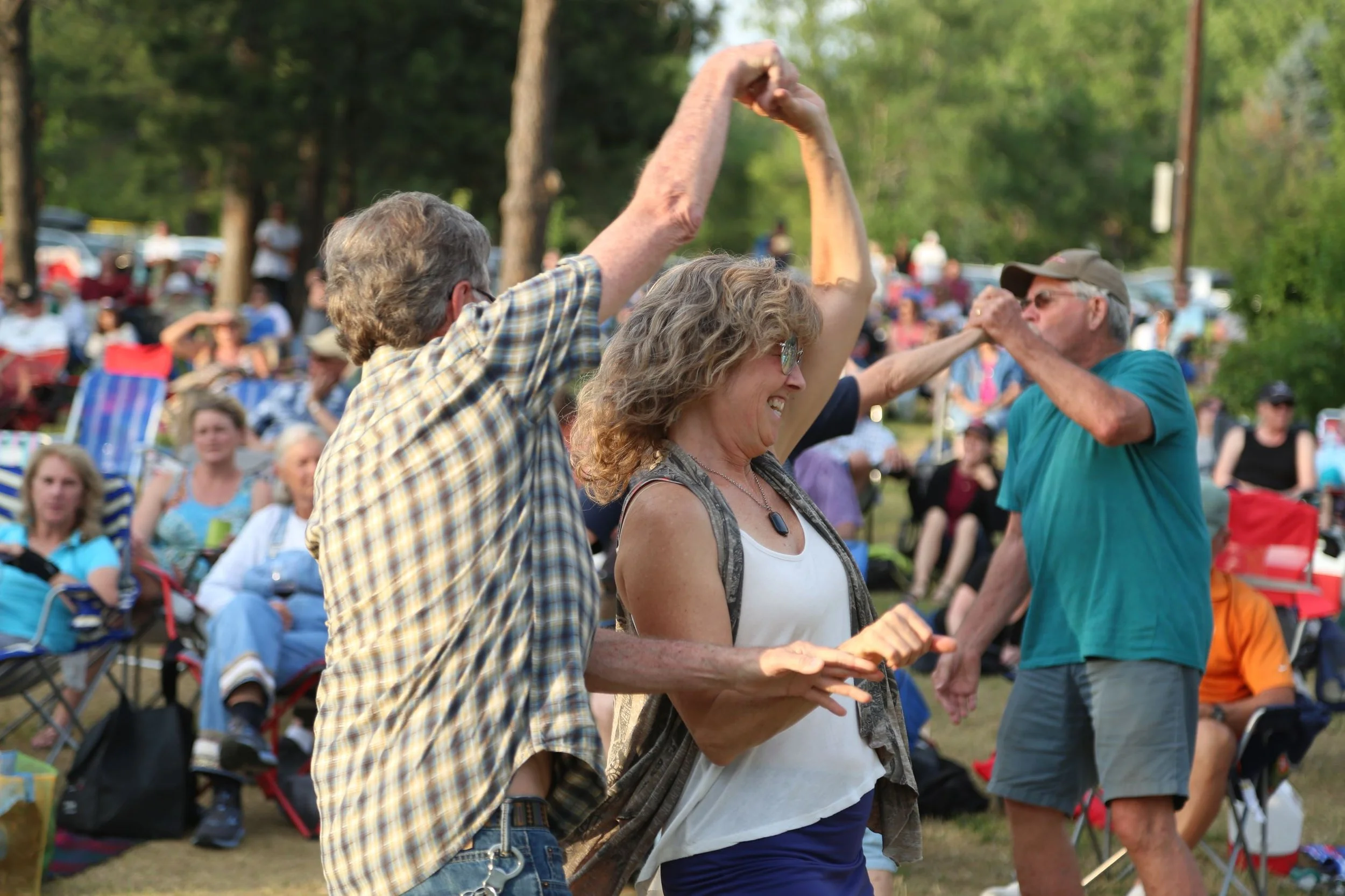Performances in the Park