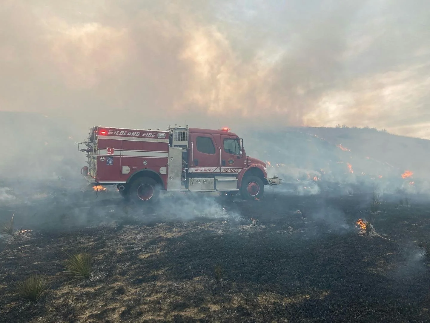 August Firewise Tips