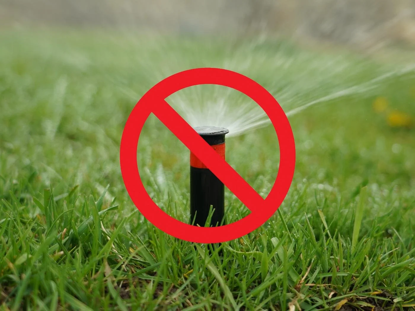 Consolidated Water: No sprinklers after Sept. 30