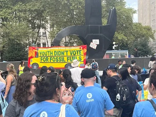 Observations of a Climate Protest: A Focus on Fridays for Future