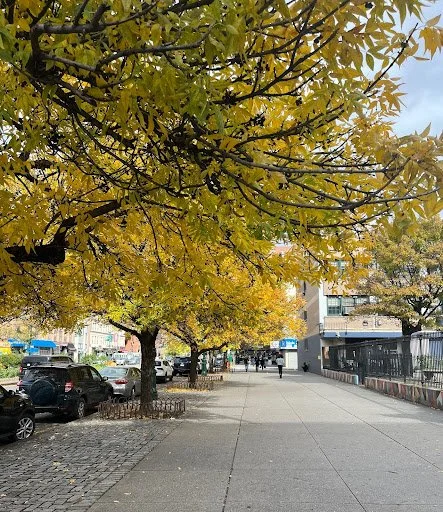 A Beginner’s Guide to Climate Change Solutions