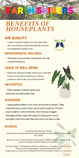 5 Benefits of Houseplants