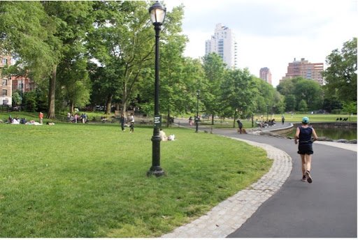 Climate Change and Allergies