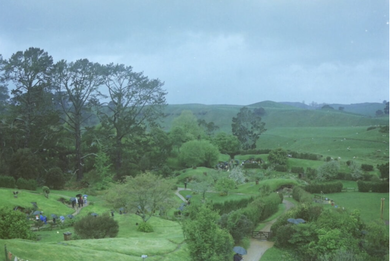 Spending a Week in Auckland, New Zealand – Earth Shiners Travel Guide