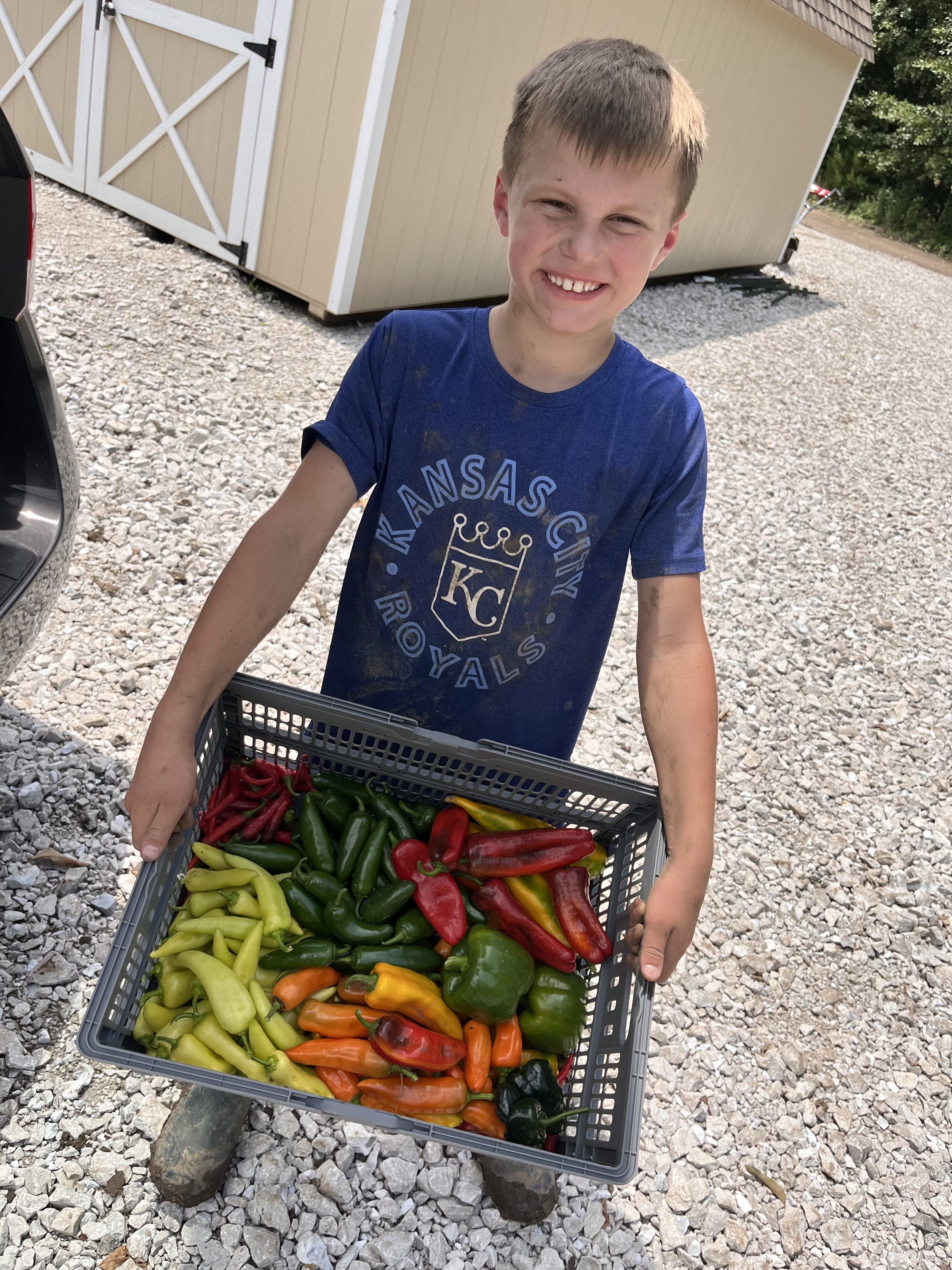 A young boy in a blue Kansas City Royals t-shirt smiling and holding a basket of colorful peppers, standing on a gravel surface outdoors near a small shed.