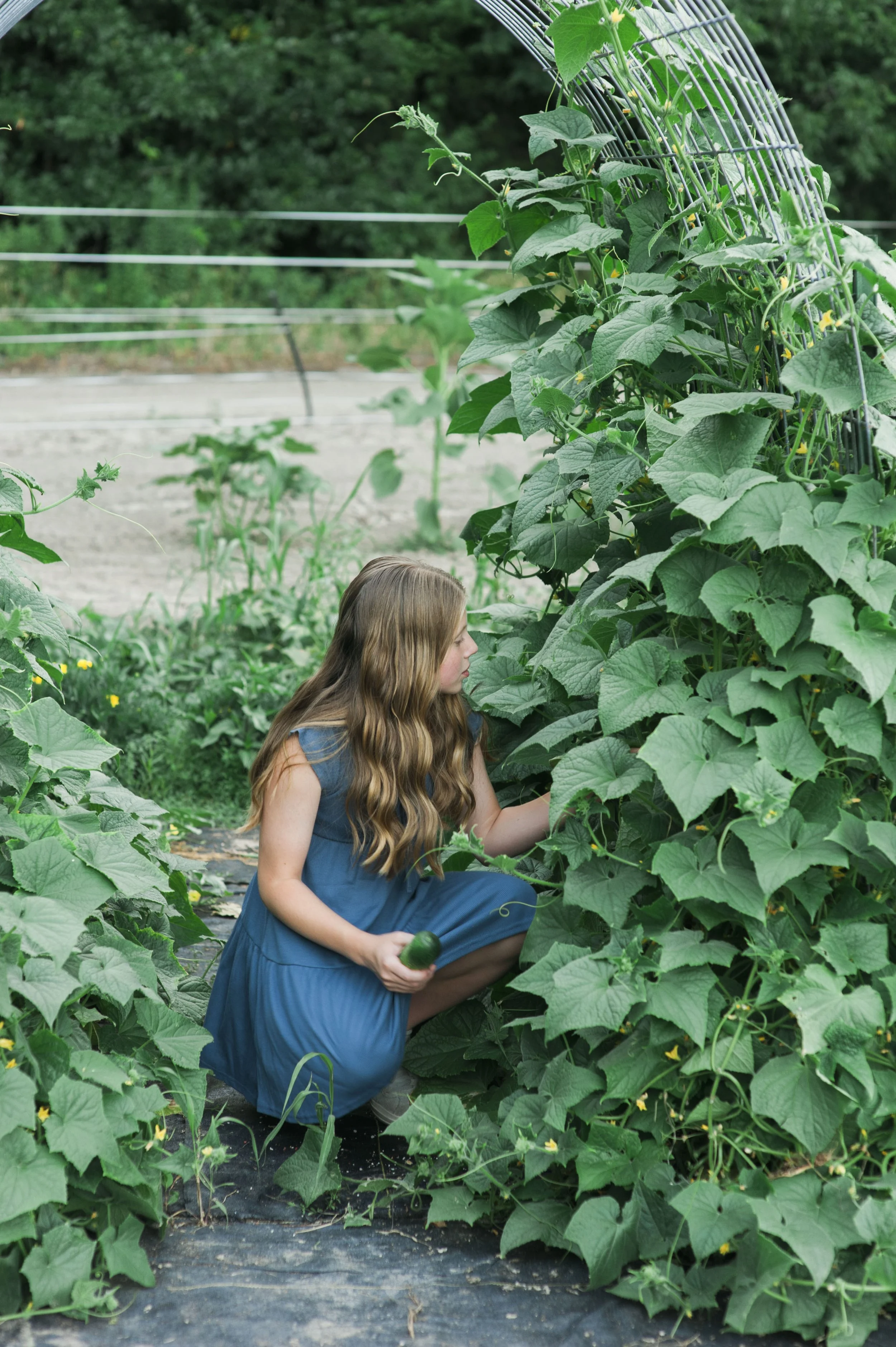 A girl crouching in a garden with jungle-like green plants, holding a cucumber and observing the plant.