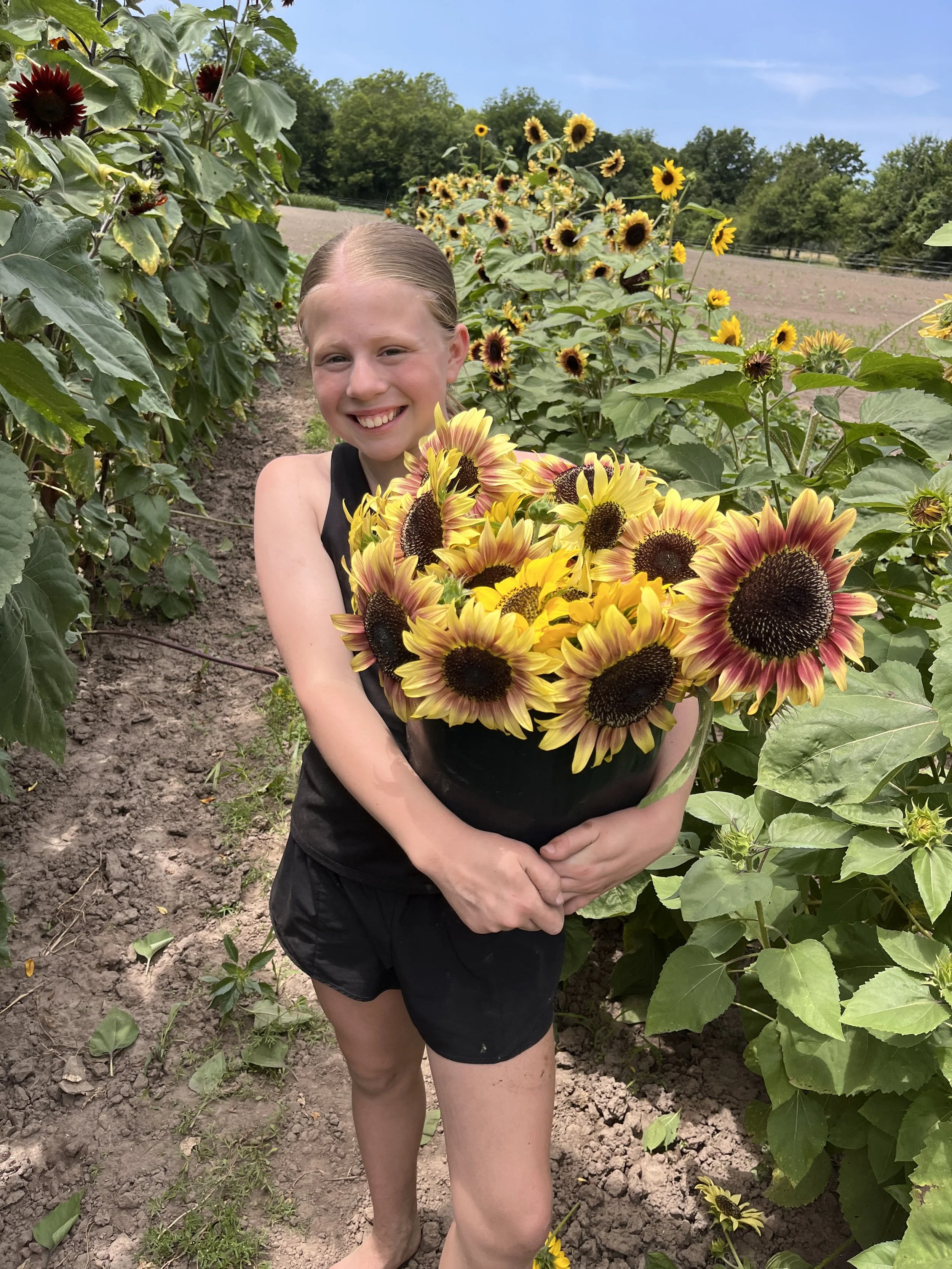 A young girl smiling outside in a sunflower field holding a large bouquet of sunflowers.