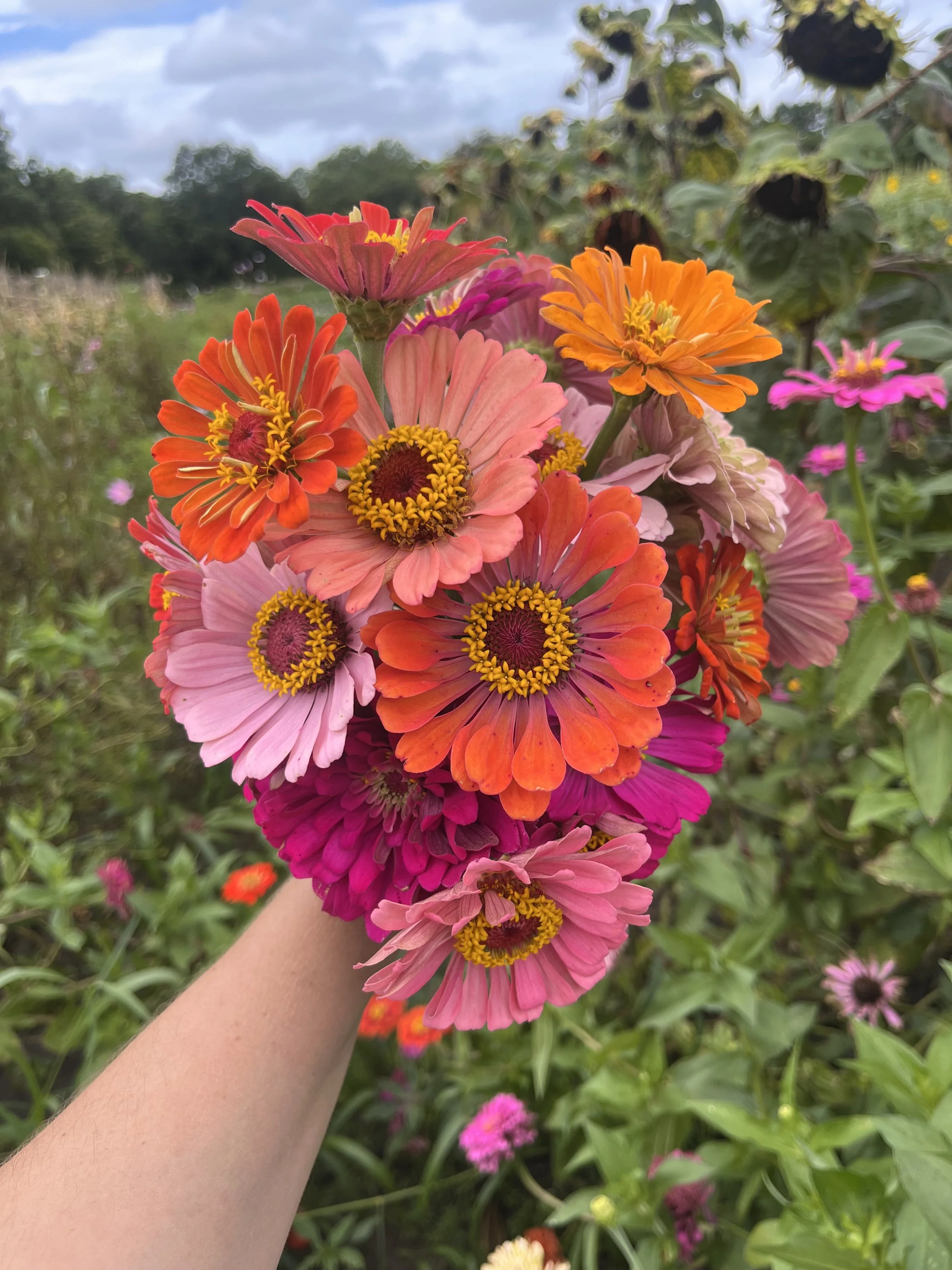 Person holding a colorful bouquet of mixed pink, orange, red, and purple flowers outdoors with green foliage and a cloudy sky in the background.
