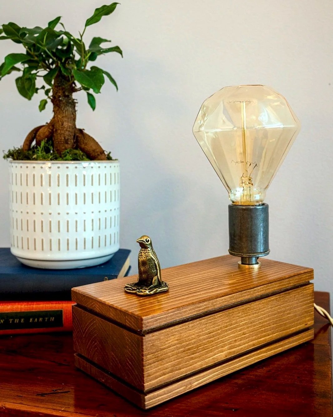 The Inquisitive Penguin