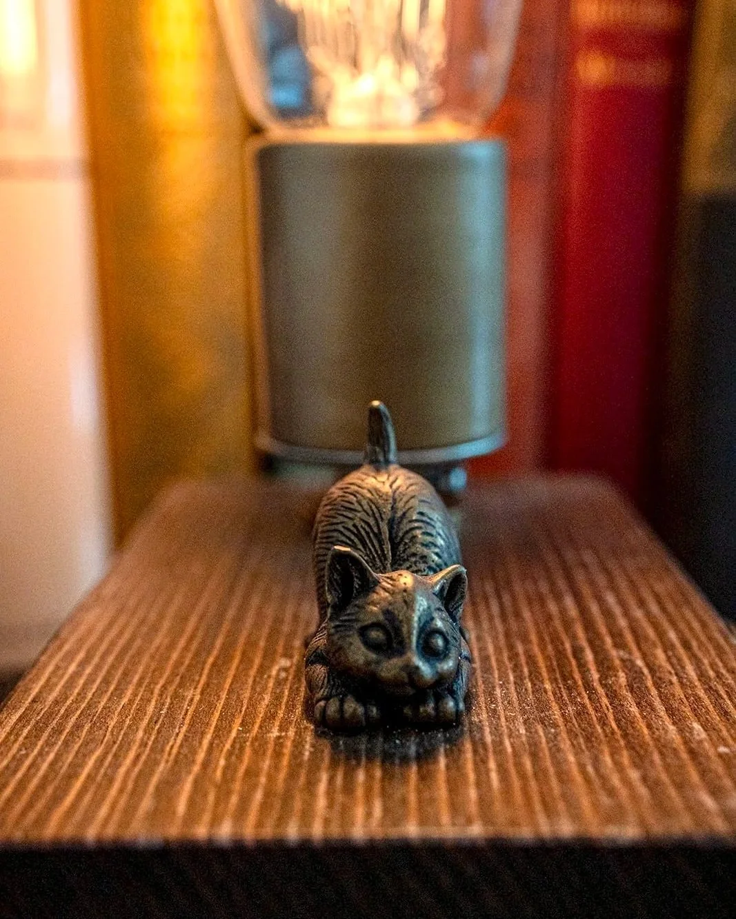 "Big Stretch!" Kitten