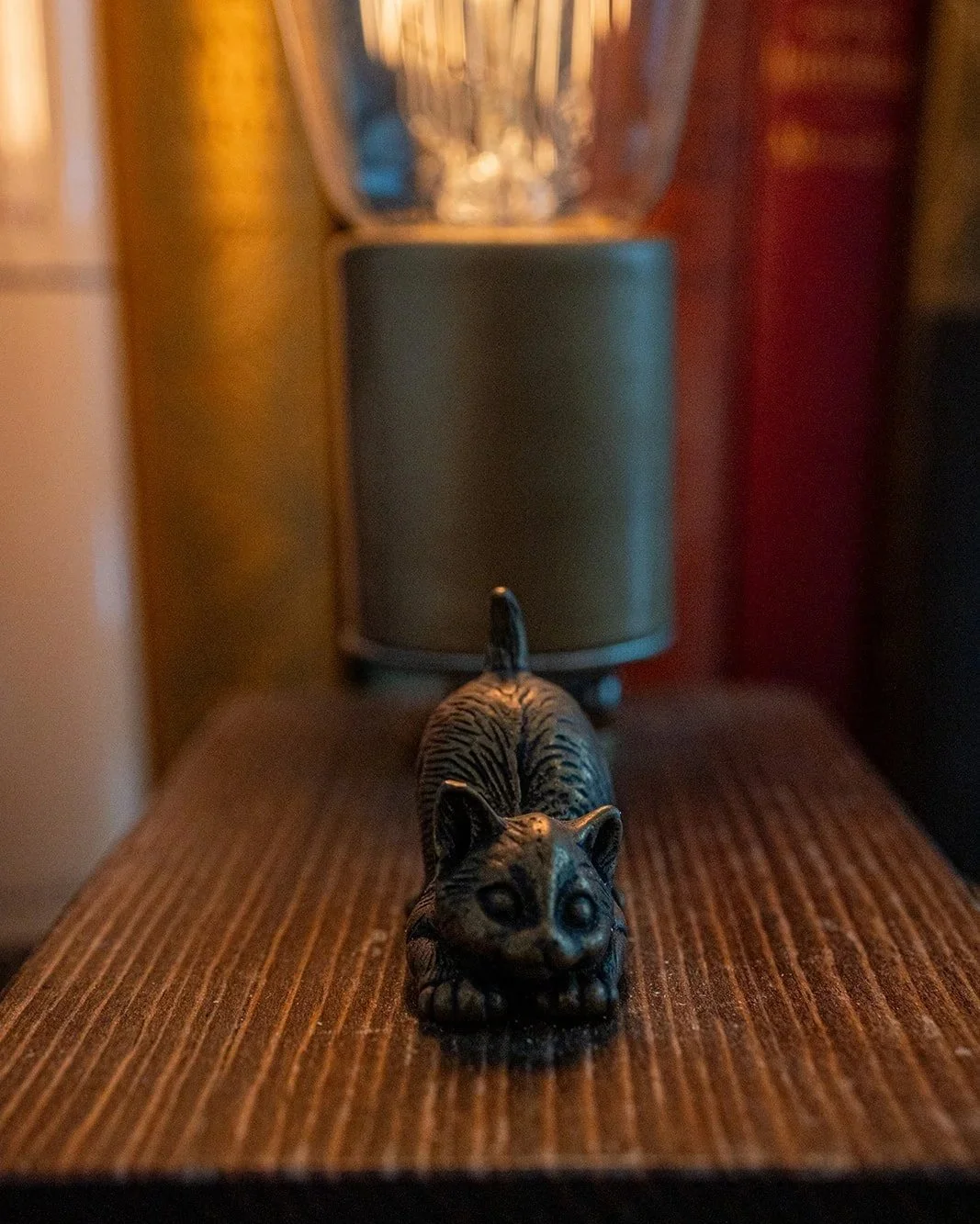 "Big Stretch!" Kitten