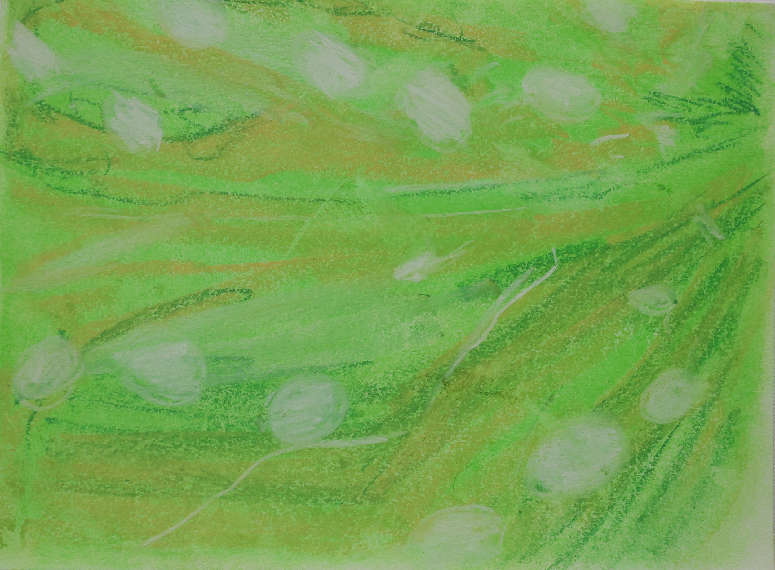 Close-up of green leaves with water droplets on their surface.