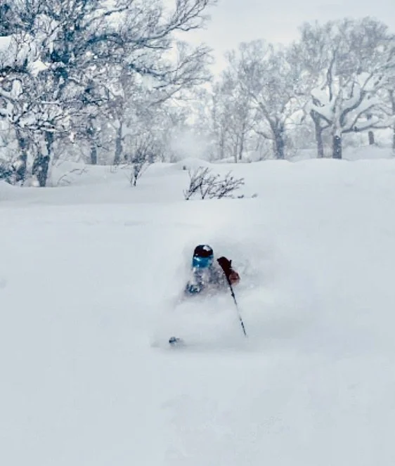 photo of a skier in waist deep powder crushing it in Japan