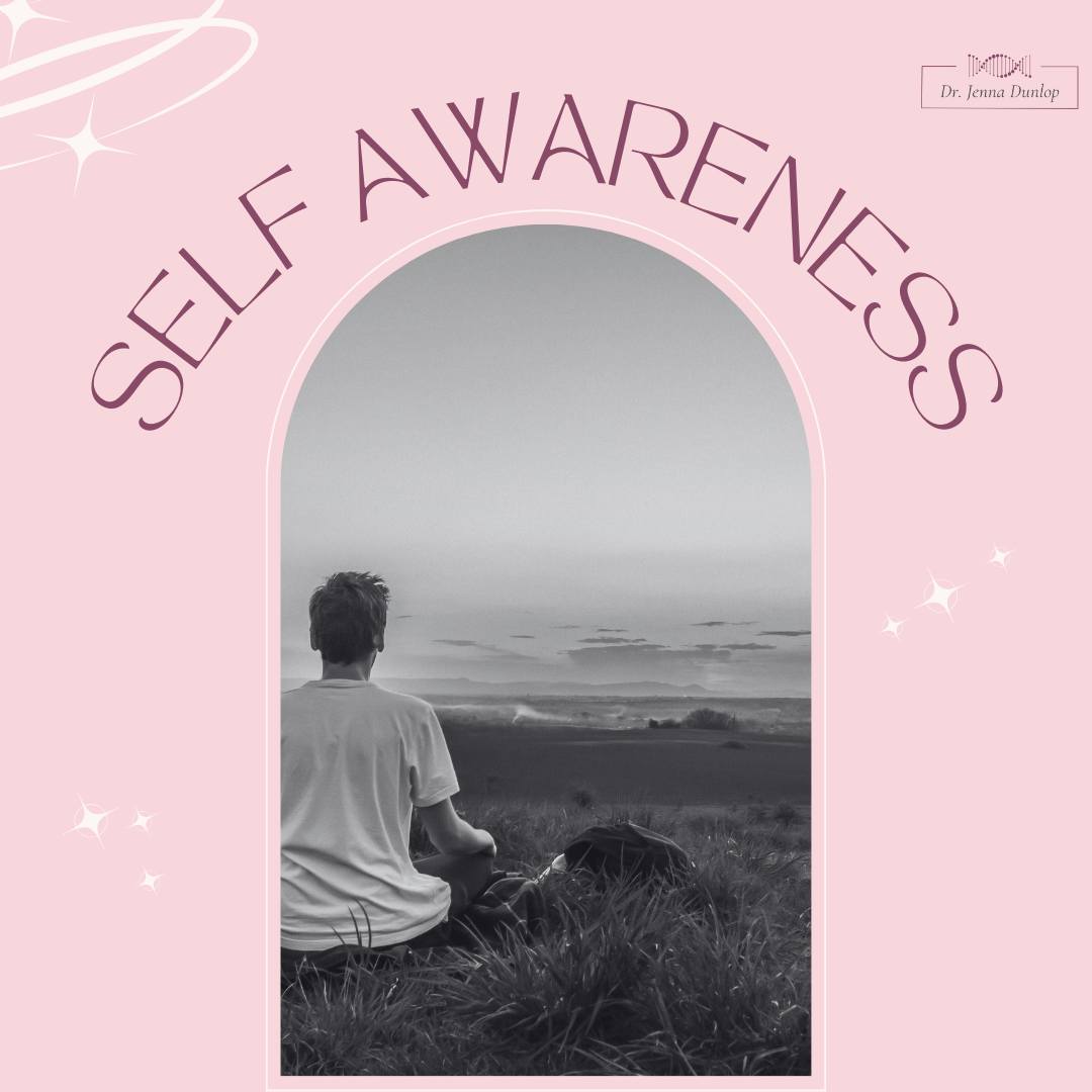 A black and white photo of a person sitting on grass, facing a vast landscape with a cloudy sky, seen through an arched window frame on a pink background with the words "Self Awareness" and a small logo in the top right corner.