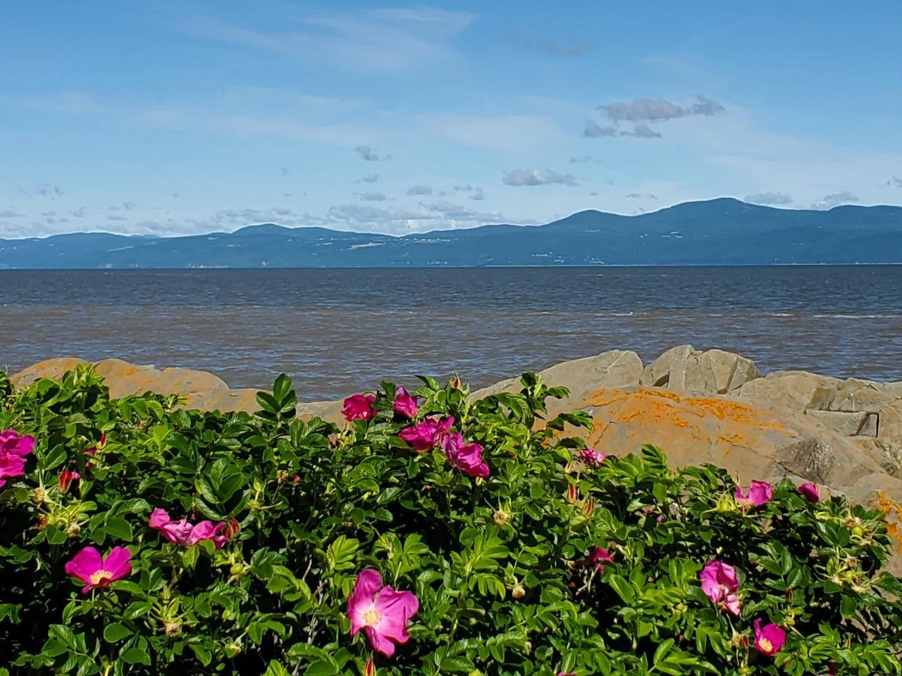 Le bord du fleuve à Rivière-Ouelle