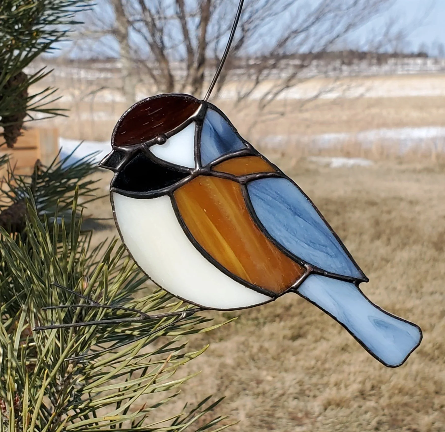 Mésange à tête brune