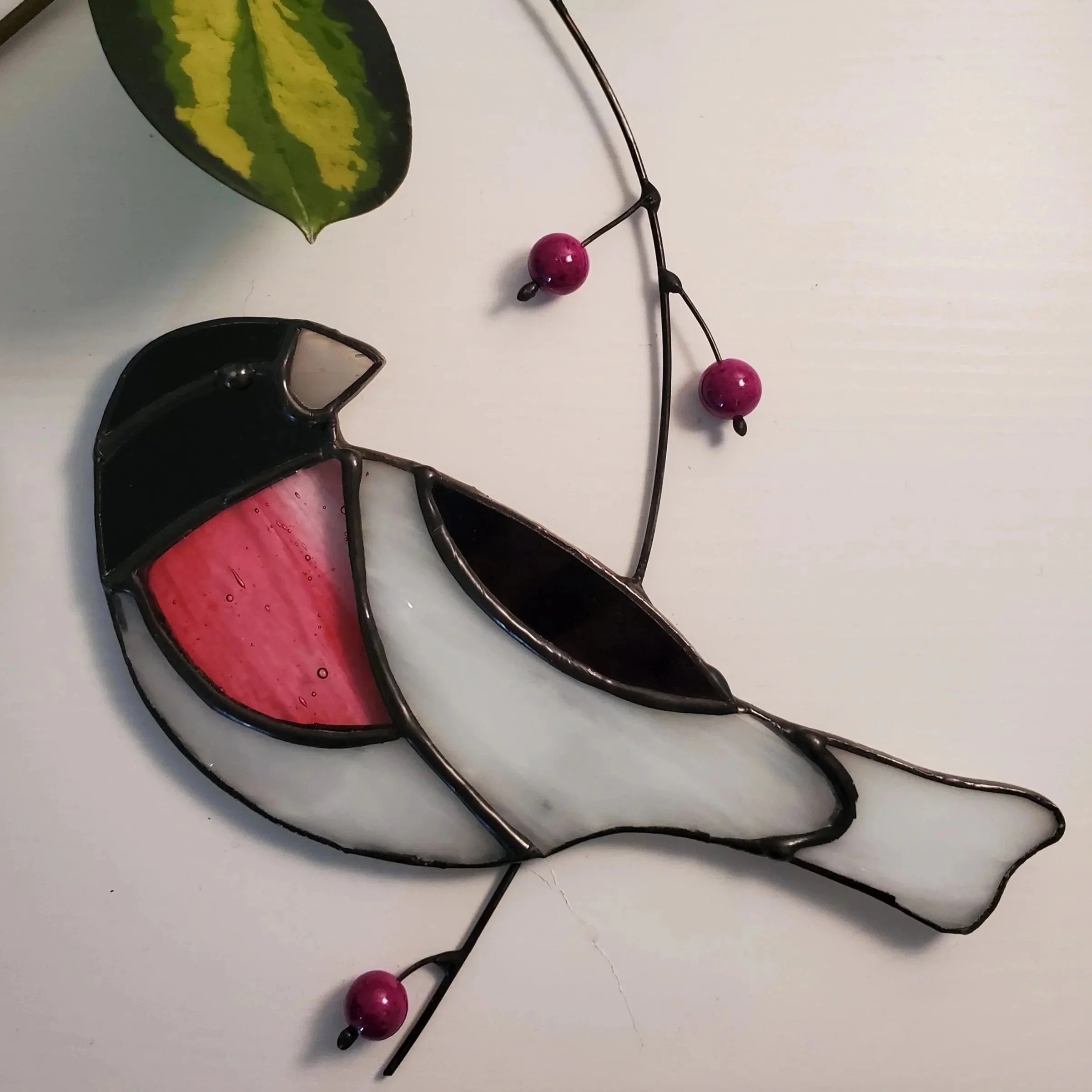 Cardinal à poitrine rose