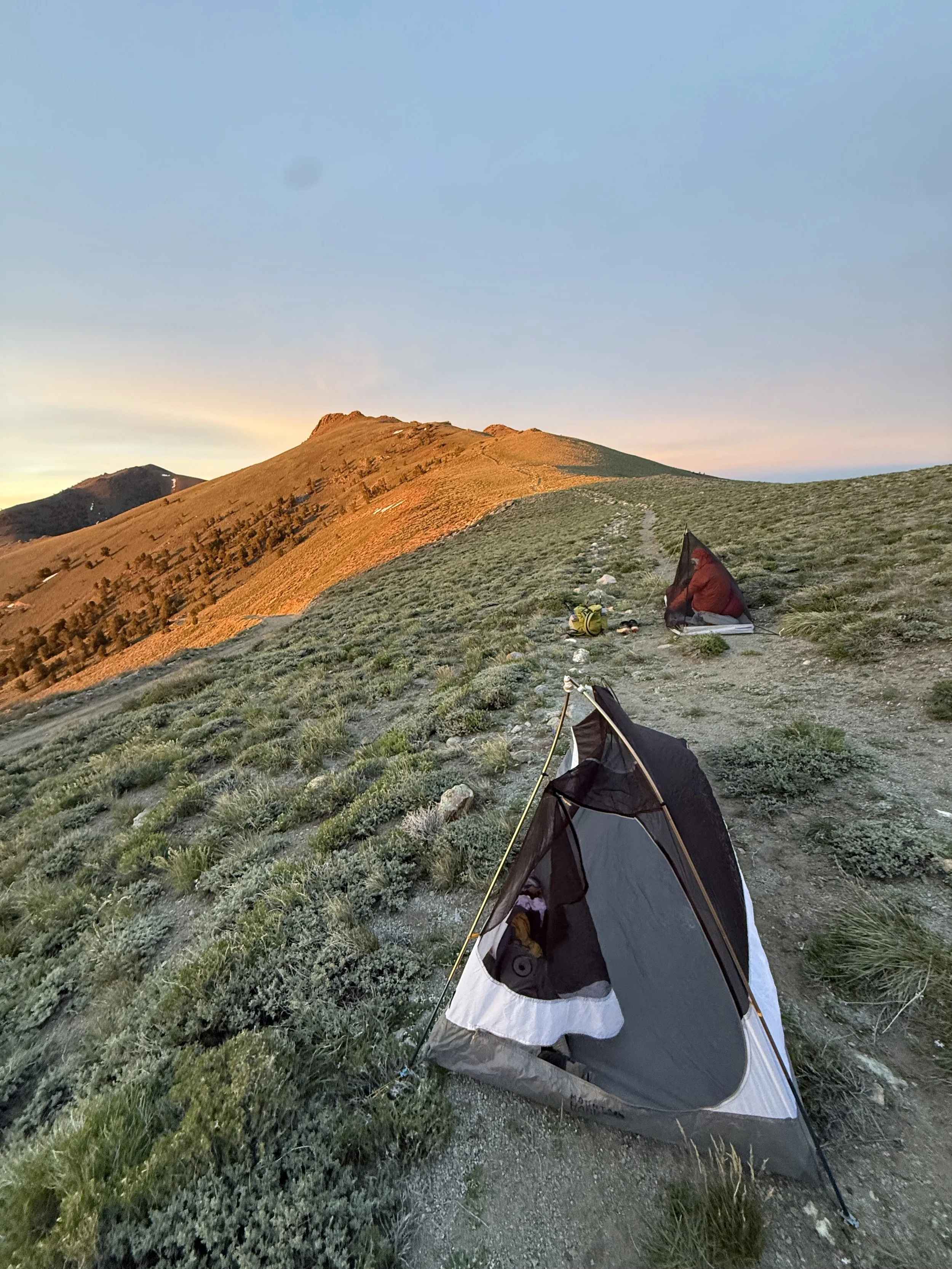TCT Camping near ophir pass.jpg