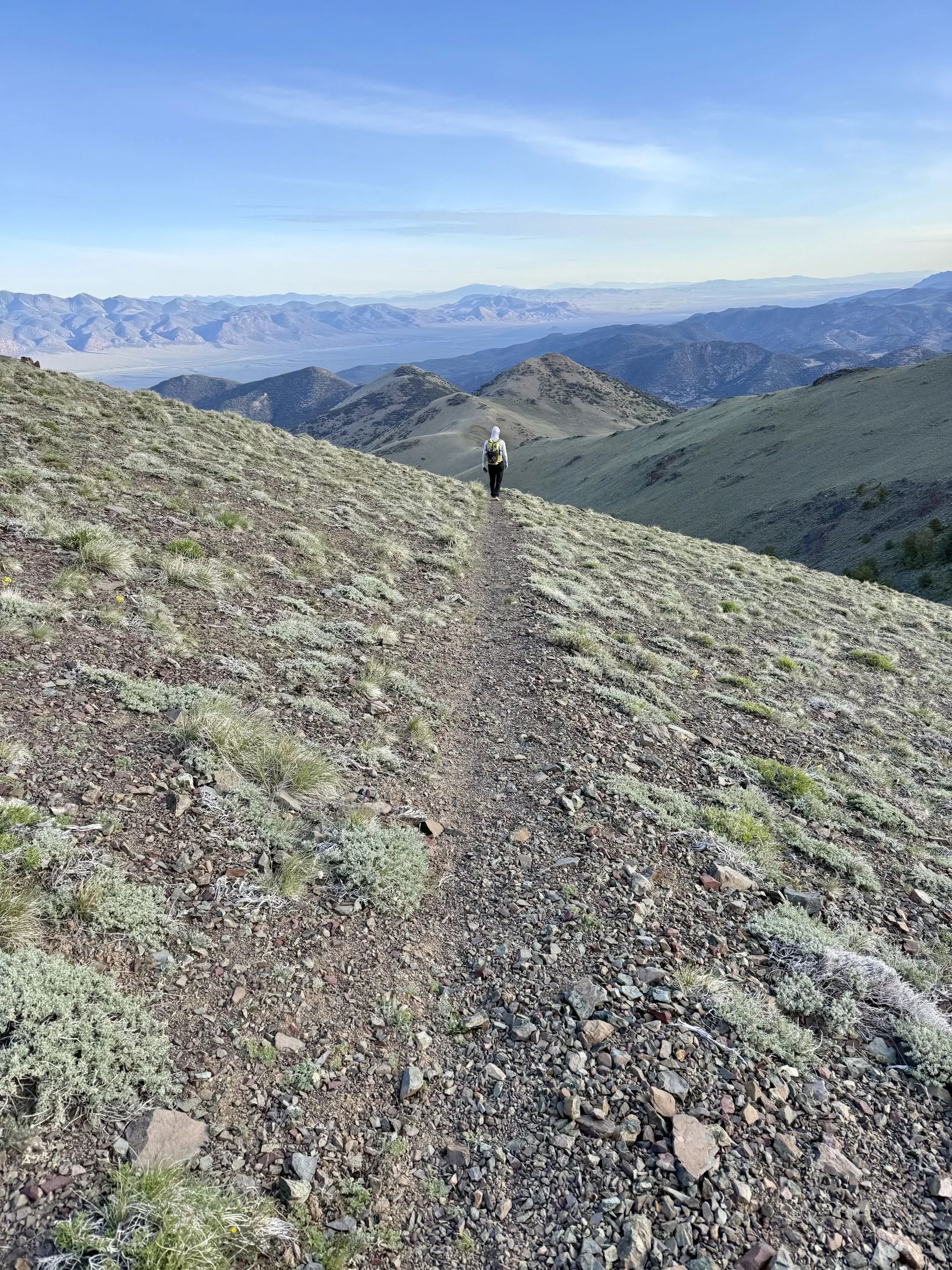 Toiyabe Crest Trail .jpg
