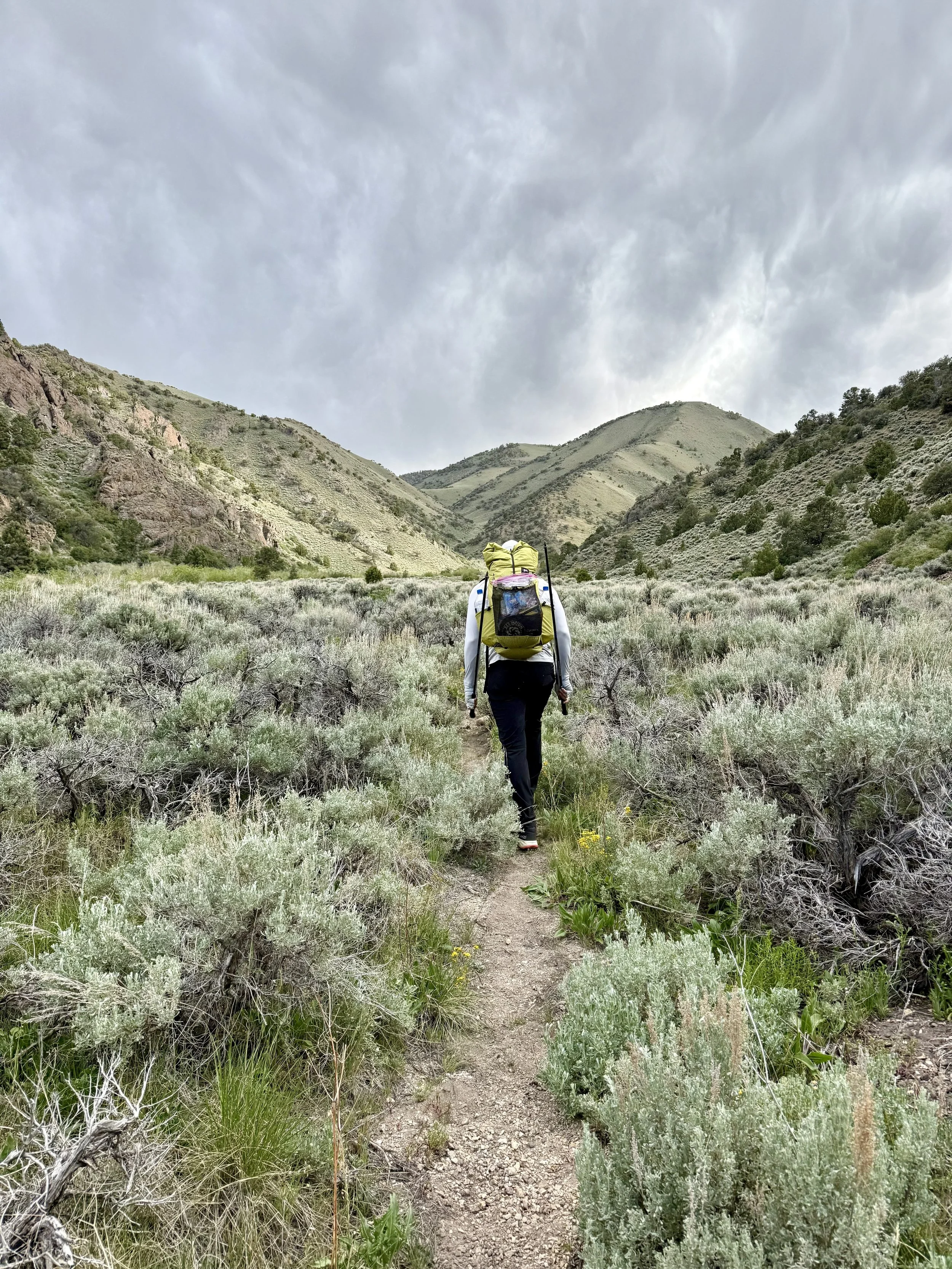 toiyabe-crest-trail-meadow.jpg