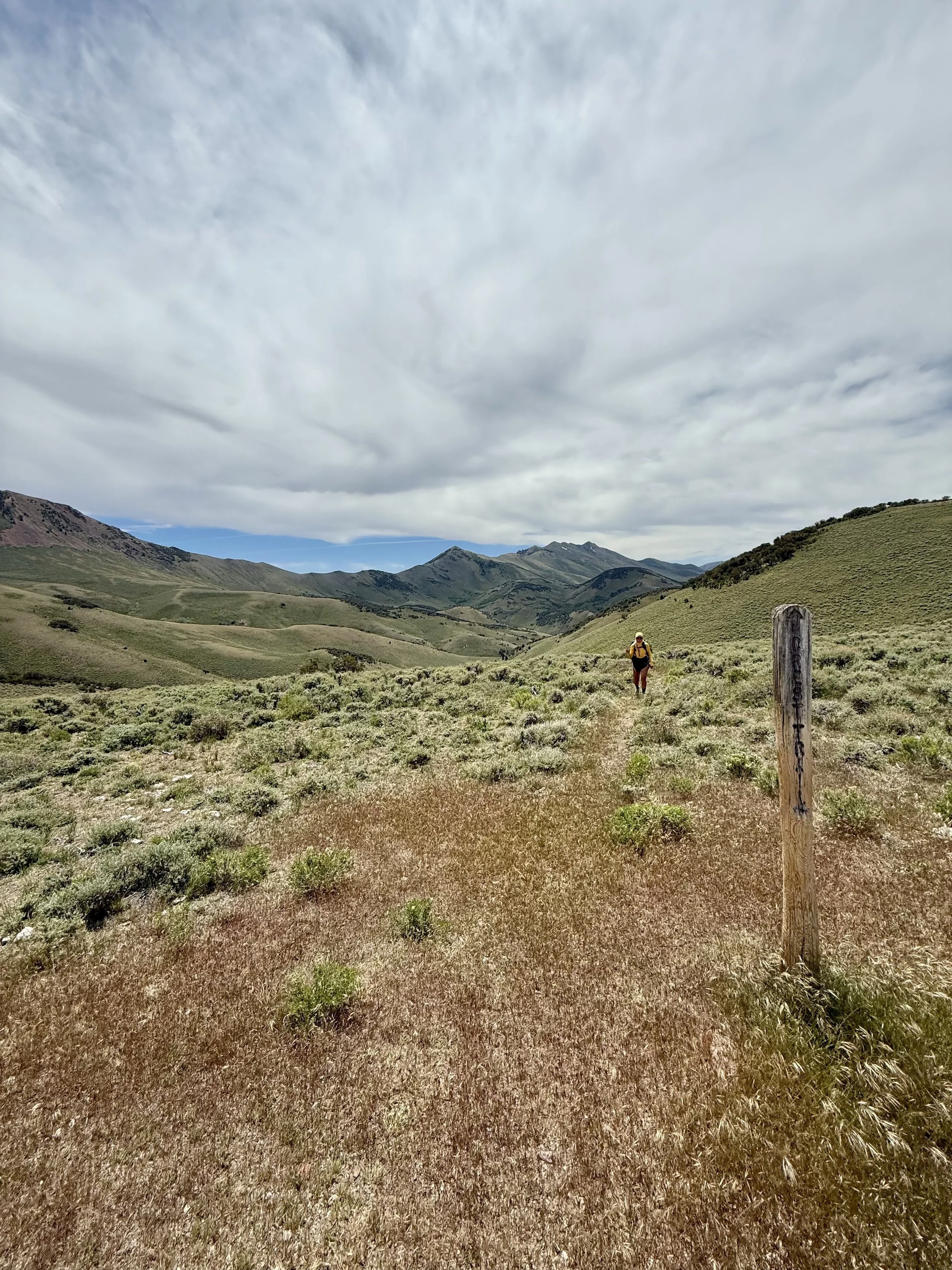 toiyabe-crest-trail-ophir.jpg