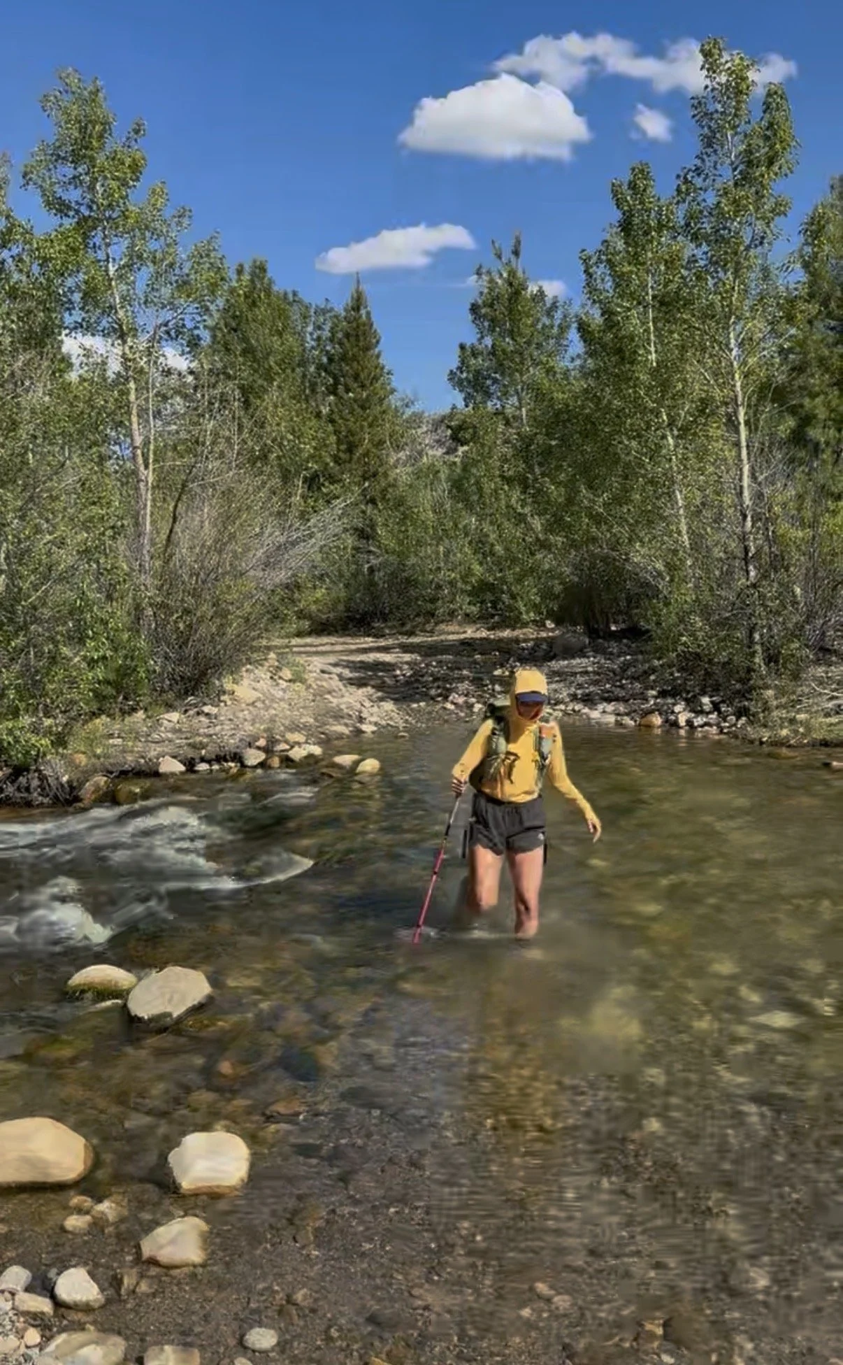 Lee-vining-creek-crossing.jpg
