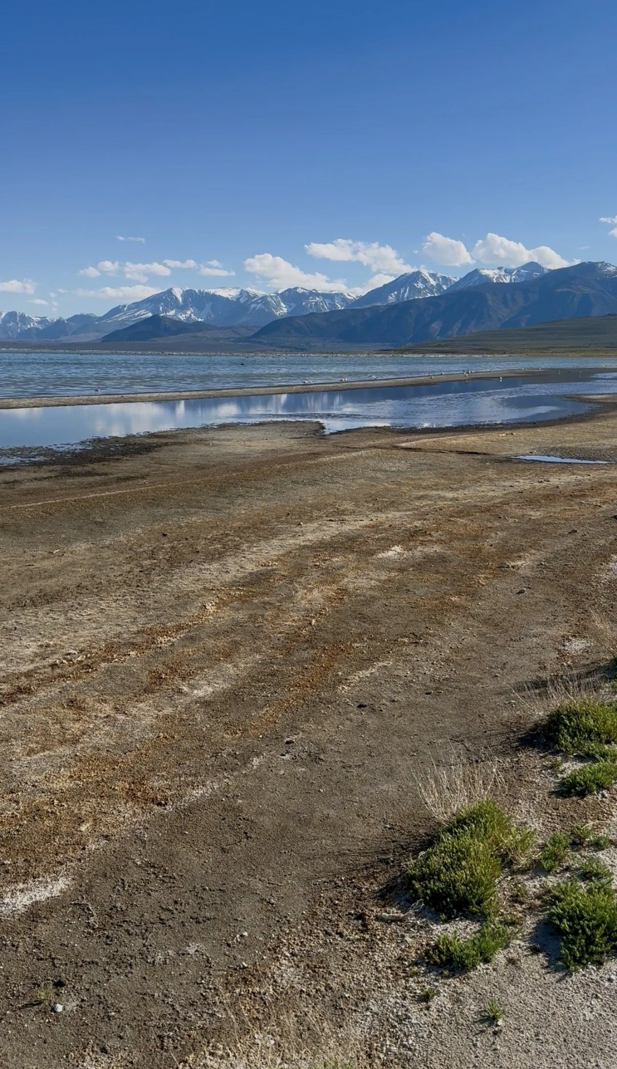 mono-lake-sierra.jpg