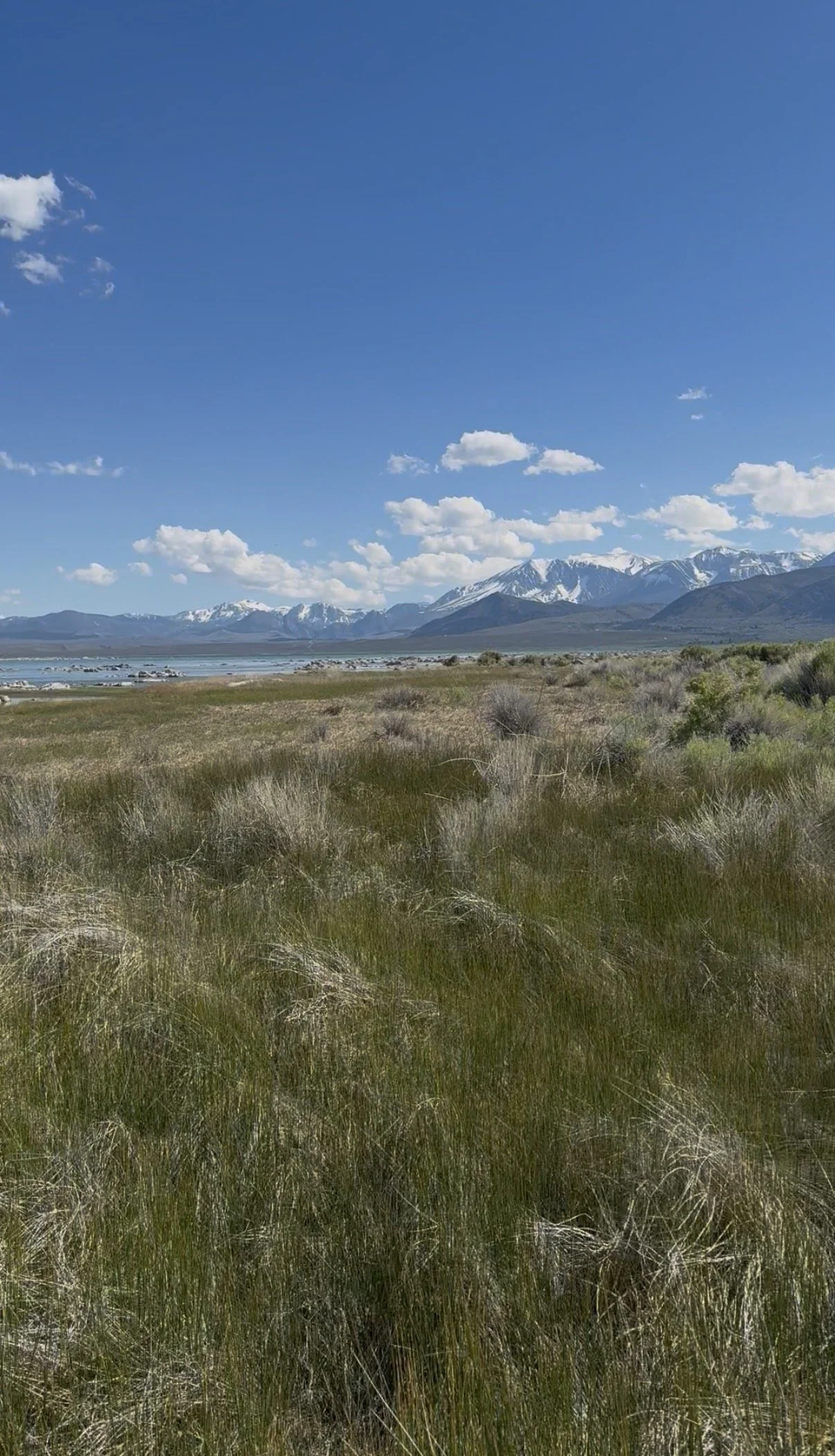 mono-lake-mountain-views.jpg