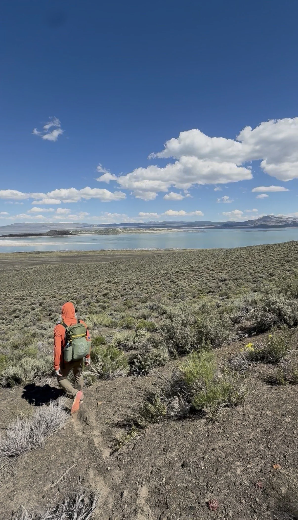 mono-lake-views-black-point.jpg