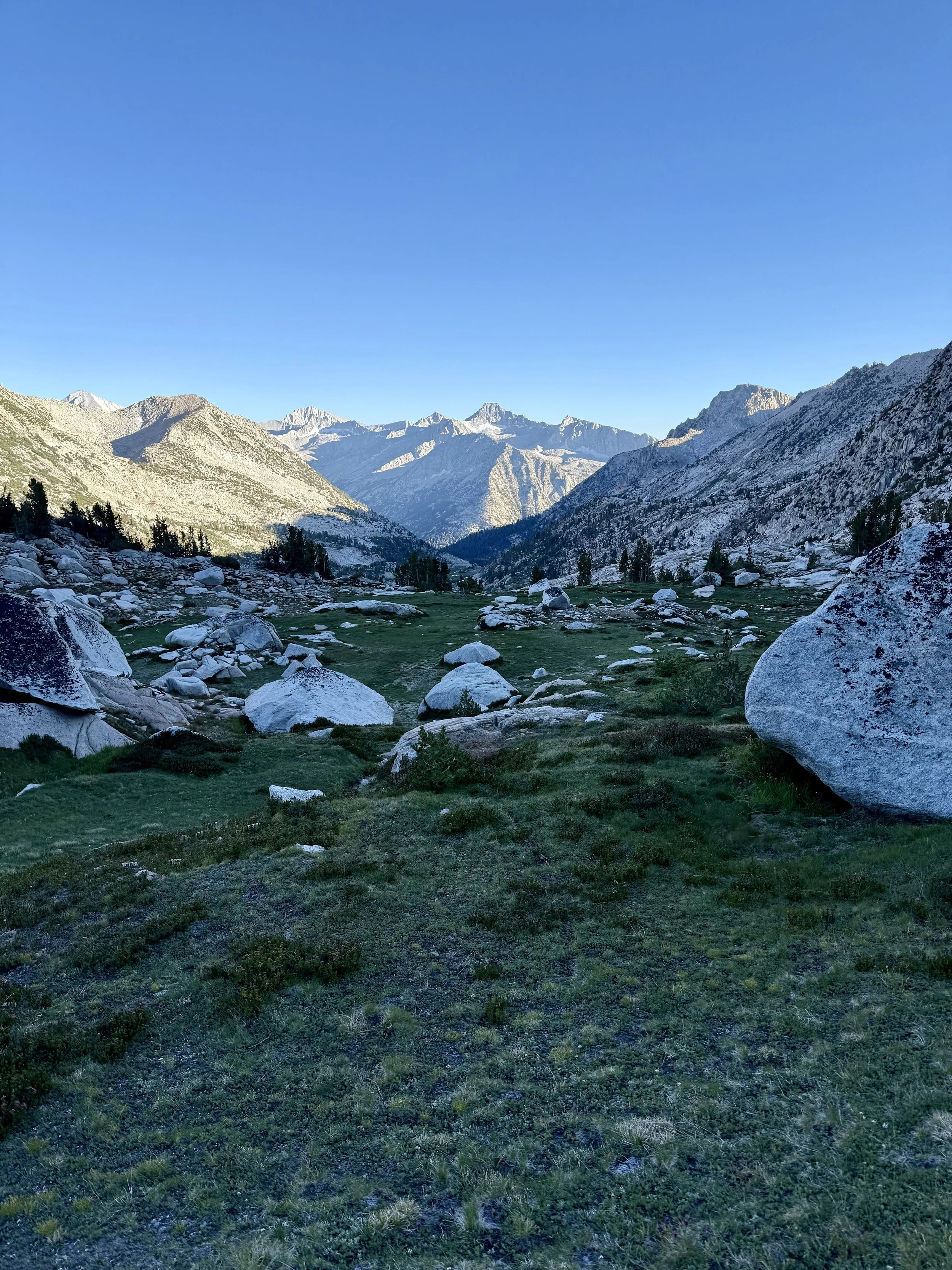 Meadow below Bighorn Pass