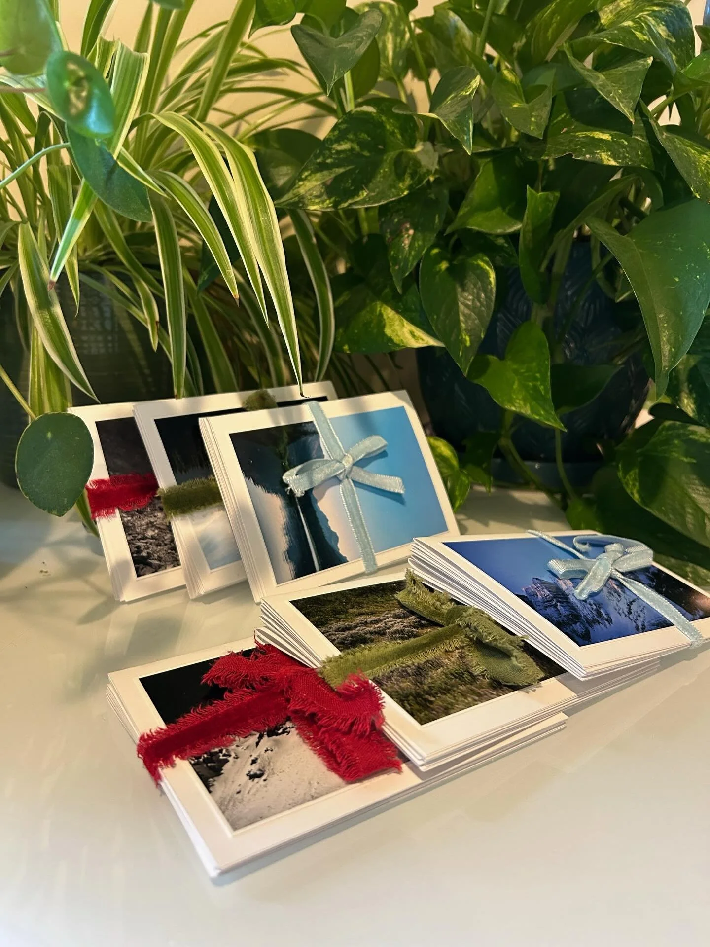 With the holidays coming up these cards are a great addition to any gift, especially for nature lovers! Each pack has six unique photos with a combination of both wildlife and landscapes. 

DM me to claim a pack! 

$35