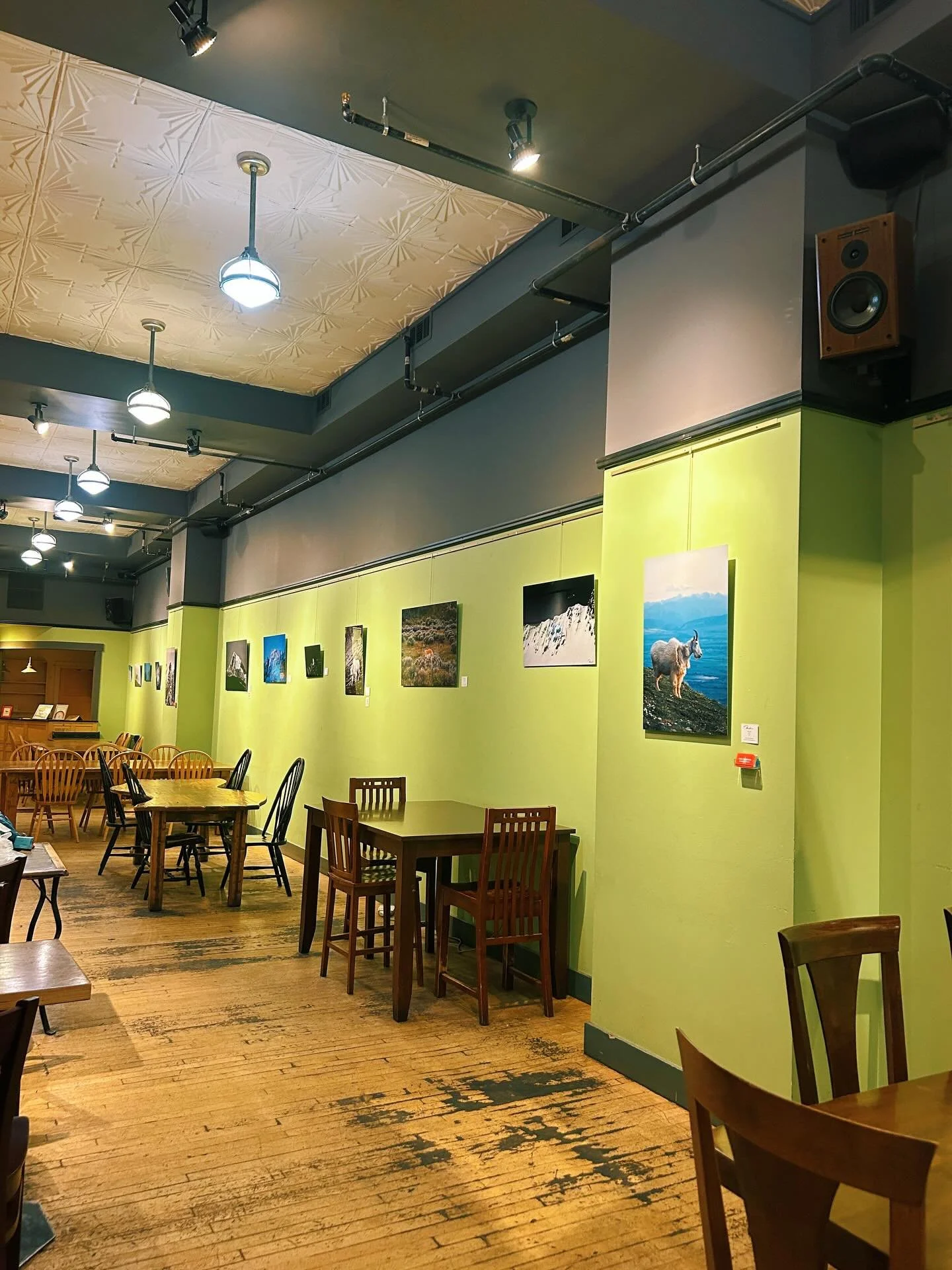 Prints are up in @wildjoescoffee for the WHOLE MONTH! 🩵

Drop in for some lovely mountains and coffee! 

 #protectourwinters #bozemansmallbusiness #womanownedsmallbusiness #wildjoescoffee