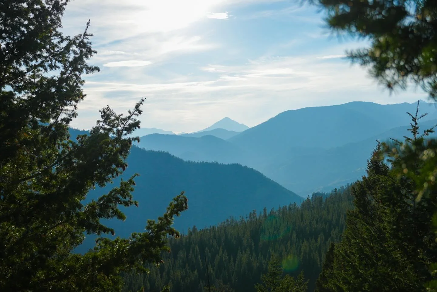 It&rsquo;s a beautiful day to celebrate 🌎 and all her creatures!

#earthday #protectourplanet #landscapephotography #wildlifephotography