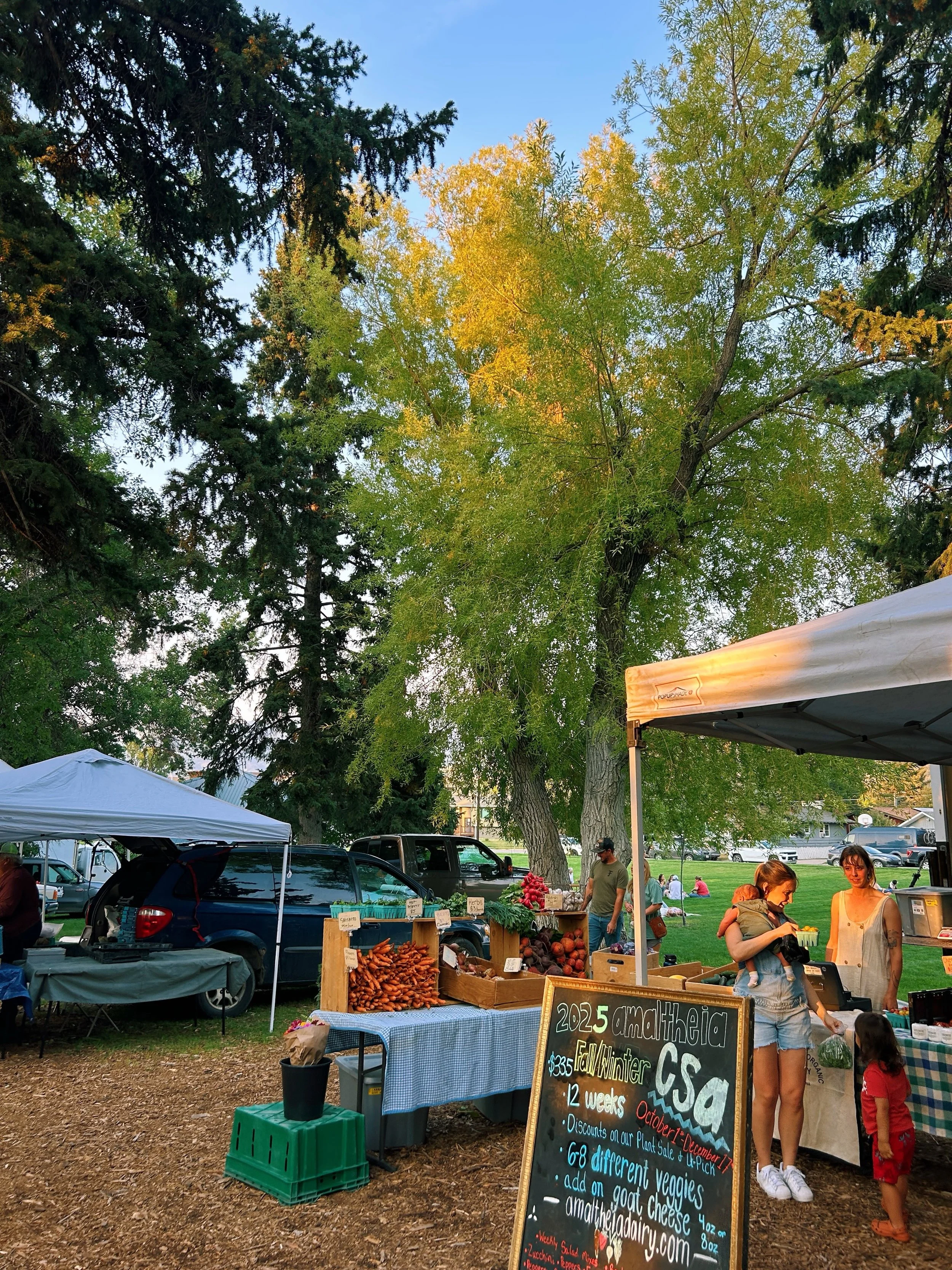 Yay for market season! I have two upcoming markets happening THIS WEEK ➡️

Every Wednesday: Big Sky Farmers Market 5-8pm
Friday: Birdhouse Collective Farmers Market (Bozeman) 5-8pm

I hope to see all you lovely people there 🩵🪩