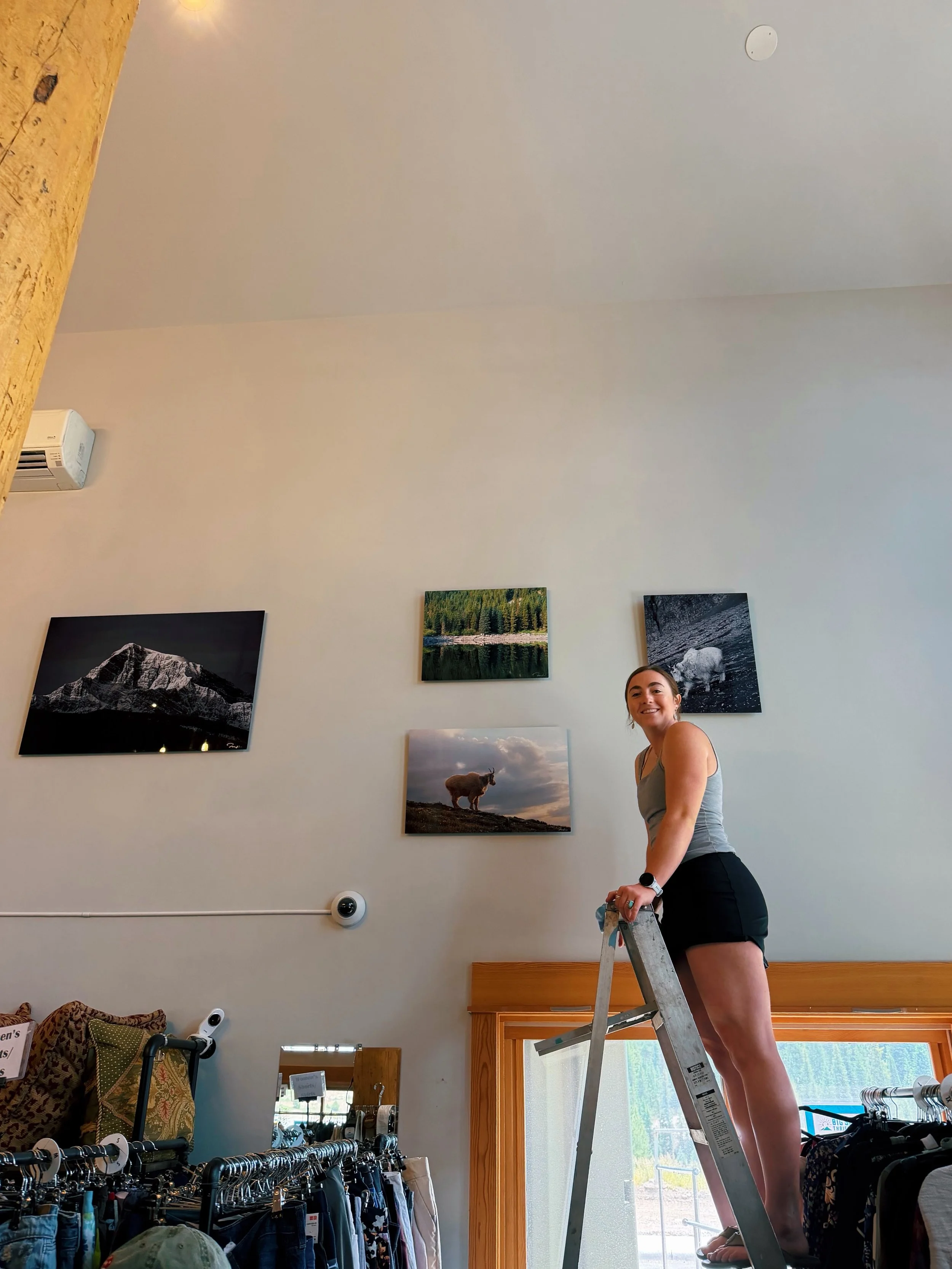 New location unlocked!! 📍@bigsky.thrift

#bigskyartist #bigskymontana #bigskyphotographer #bozemansmallbusiness #wildlifephoto