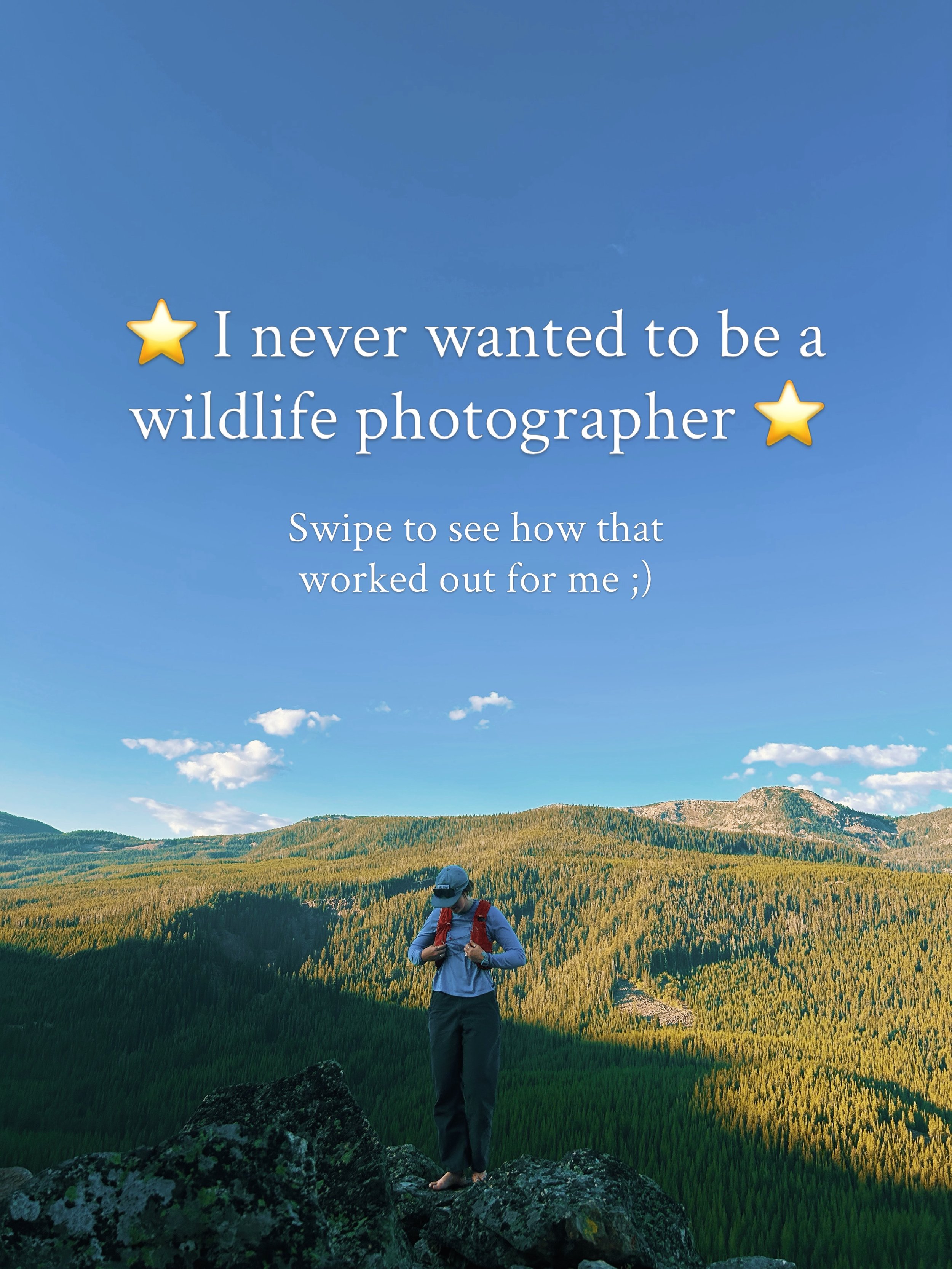 Read me ⬇️🩵

If you would have asked me when I started this journey if I was going to be a wildlife photographer, my answer would have been a confident &lsquo;no&rsquo;. 

When I started out, it was genuinely the only genre of photography I felt I d
