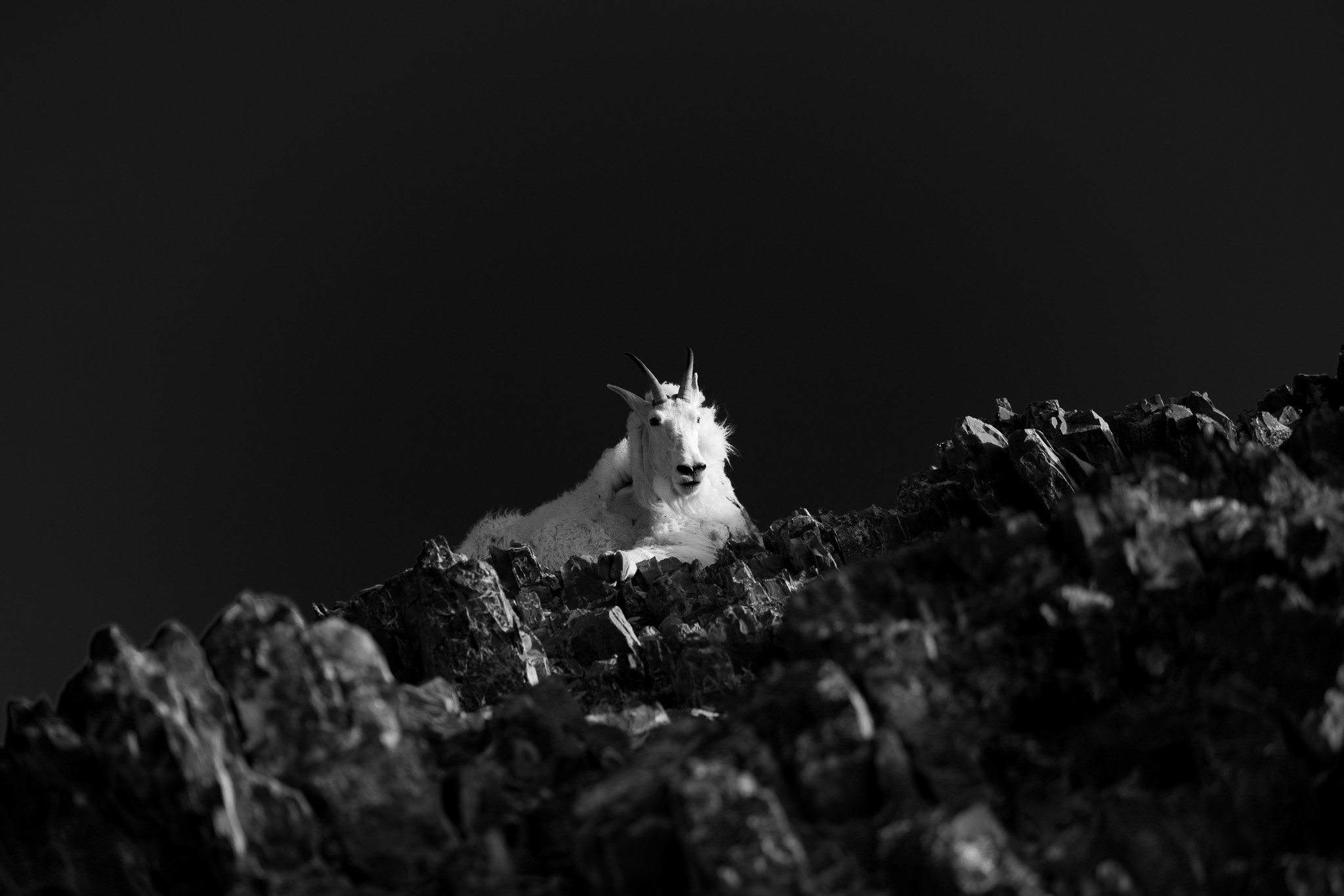 TheYeti.jpg