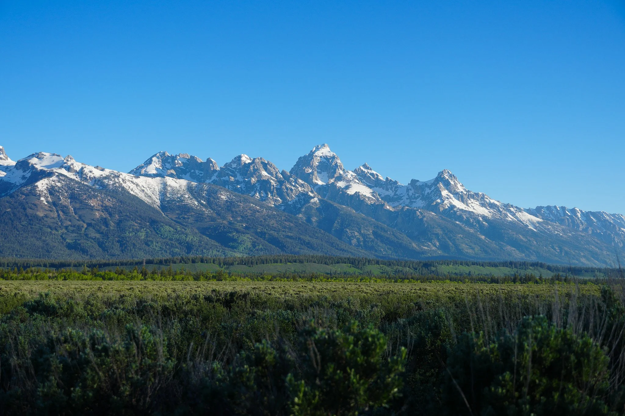 'Summer in the Tetons'